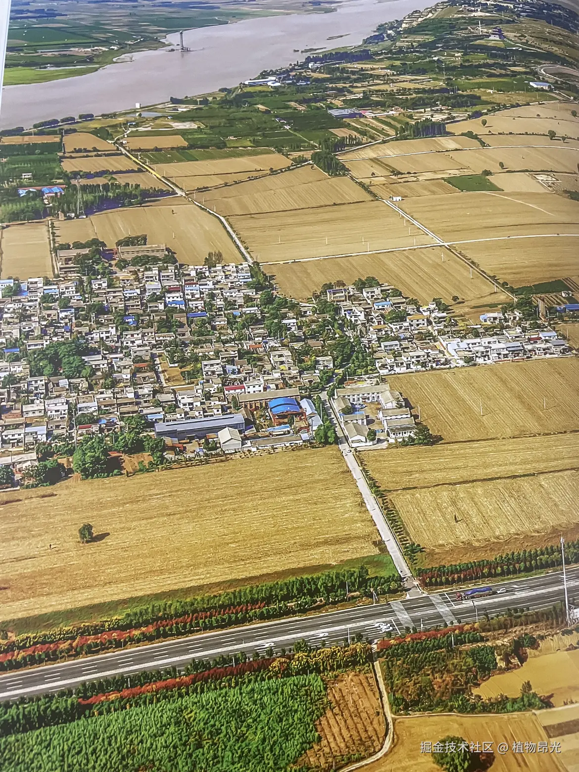 植物昂光于2026-04-12 18:12发布的图片