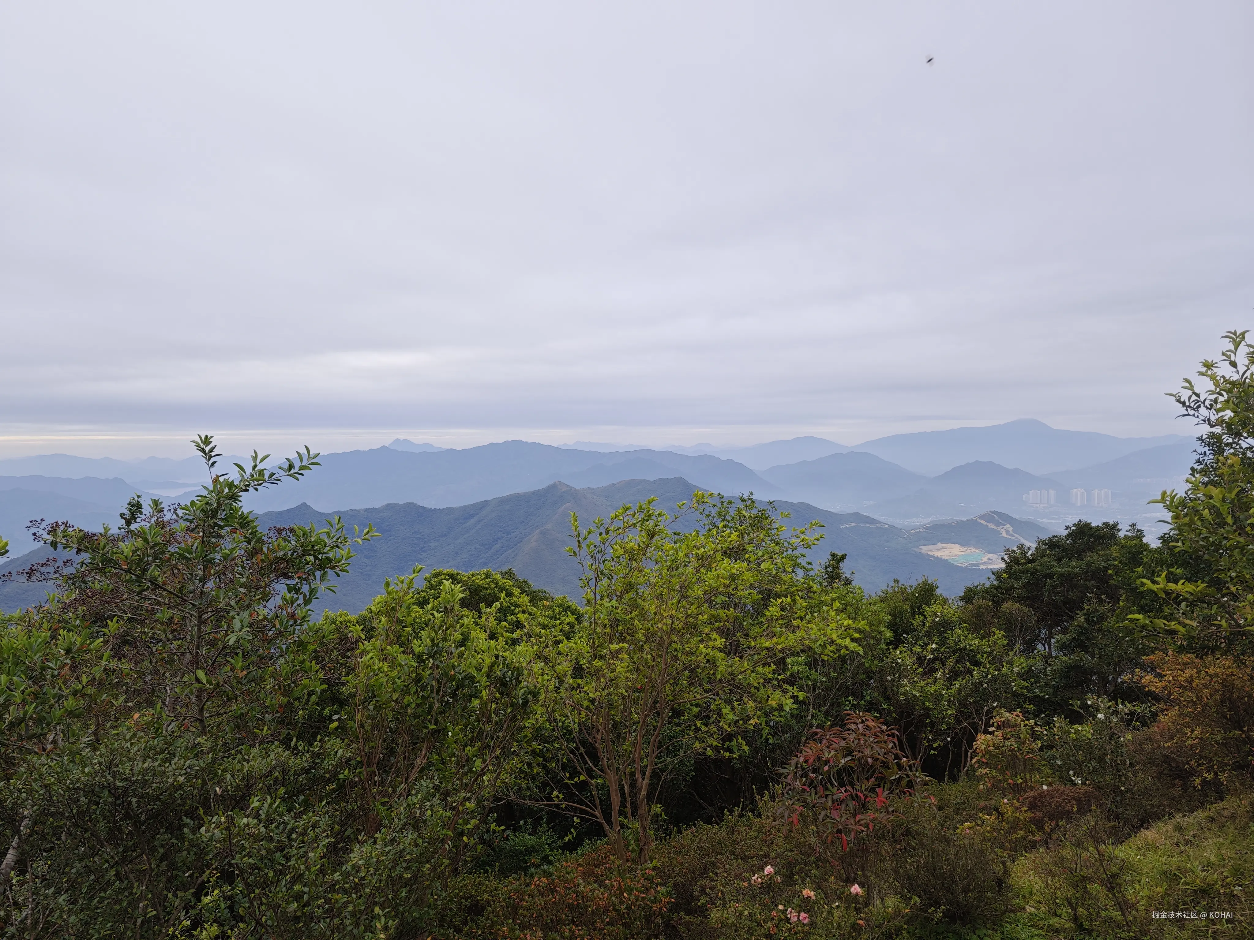 KOHAI于2025-12-01 13:09发布的图片