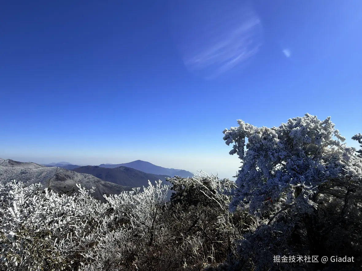 Giadat于2025-12-16 14:17发布的图片