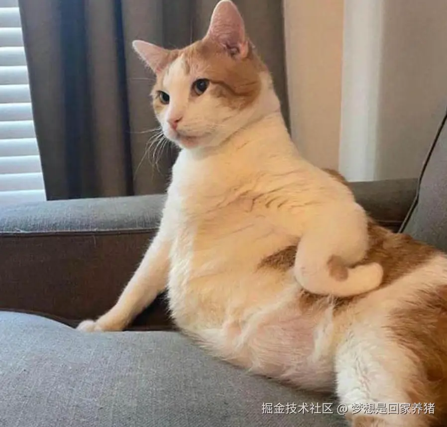 梦想是回家养猪于2025-07-11 11:45发布的图片