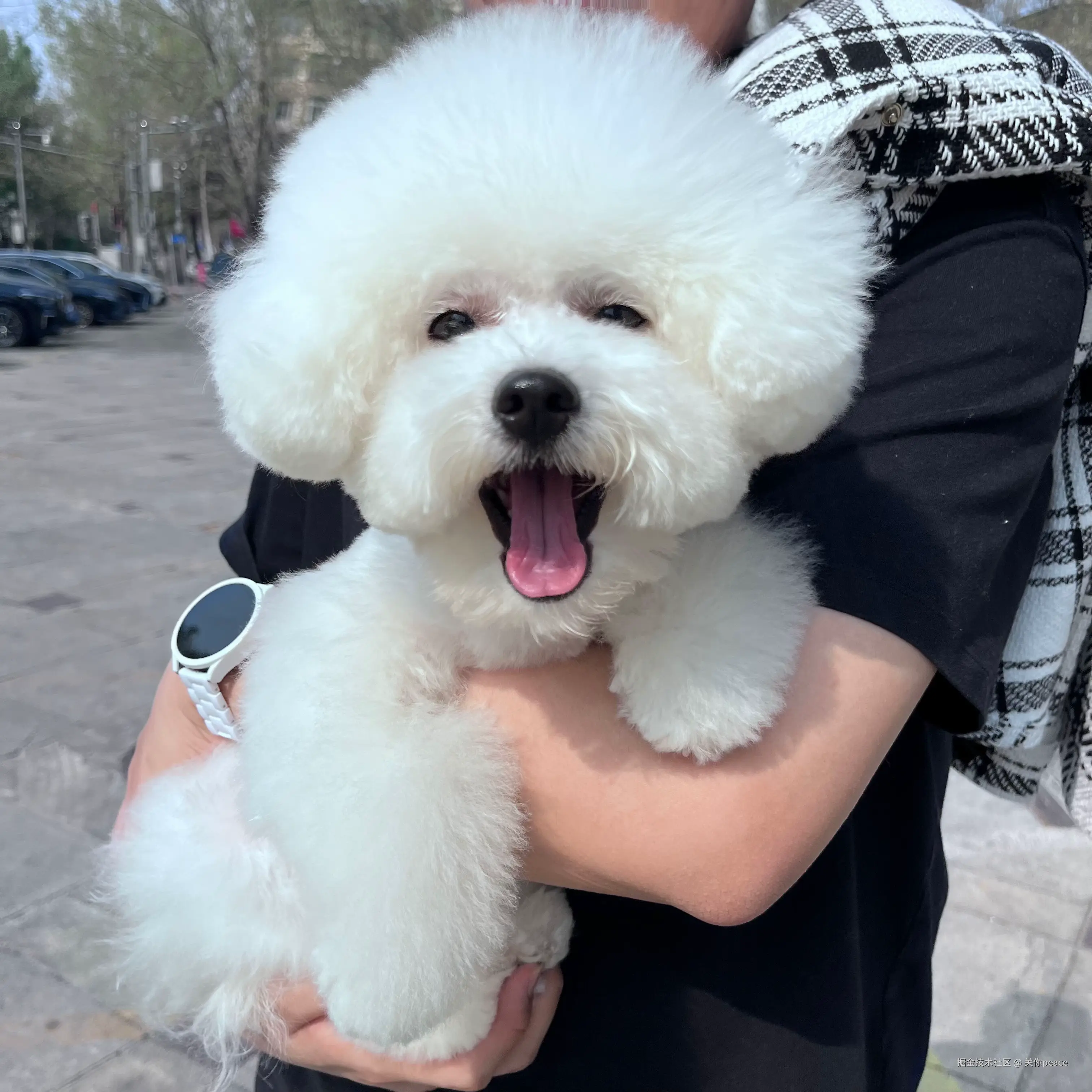 关你peace于2024-10-14 15:59发布的图片