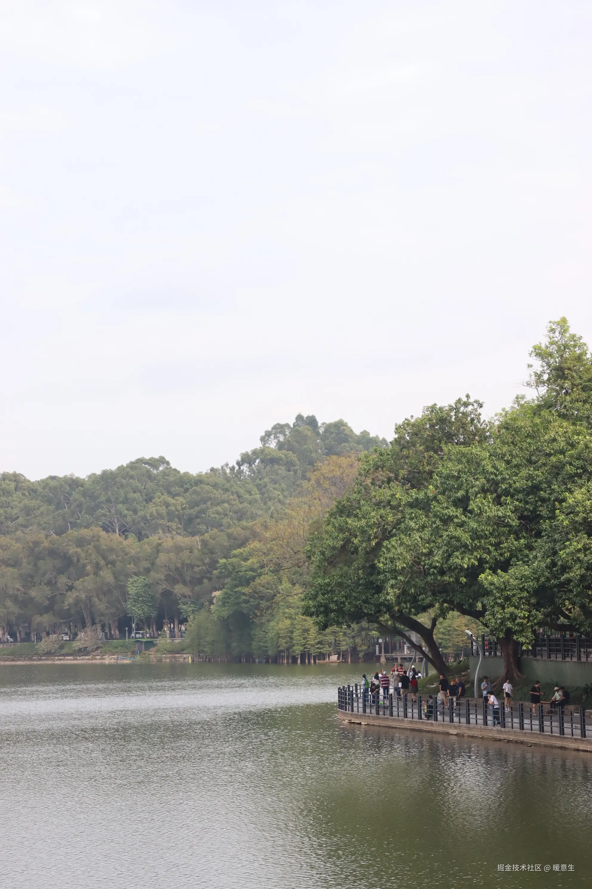 暖意生于2024-11-20 09:32发布的图片