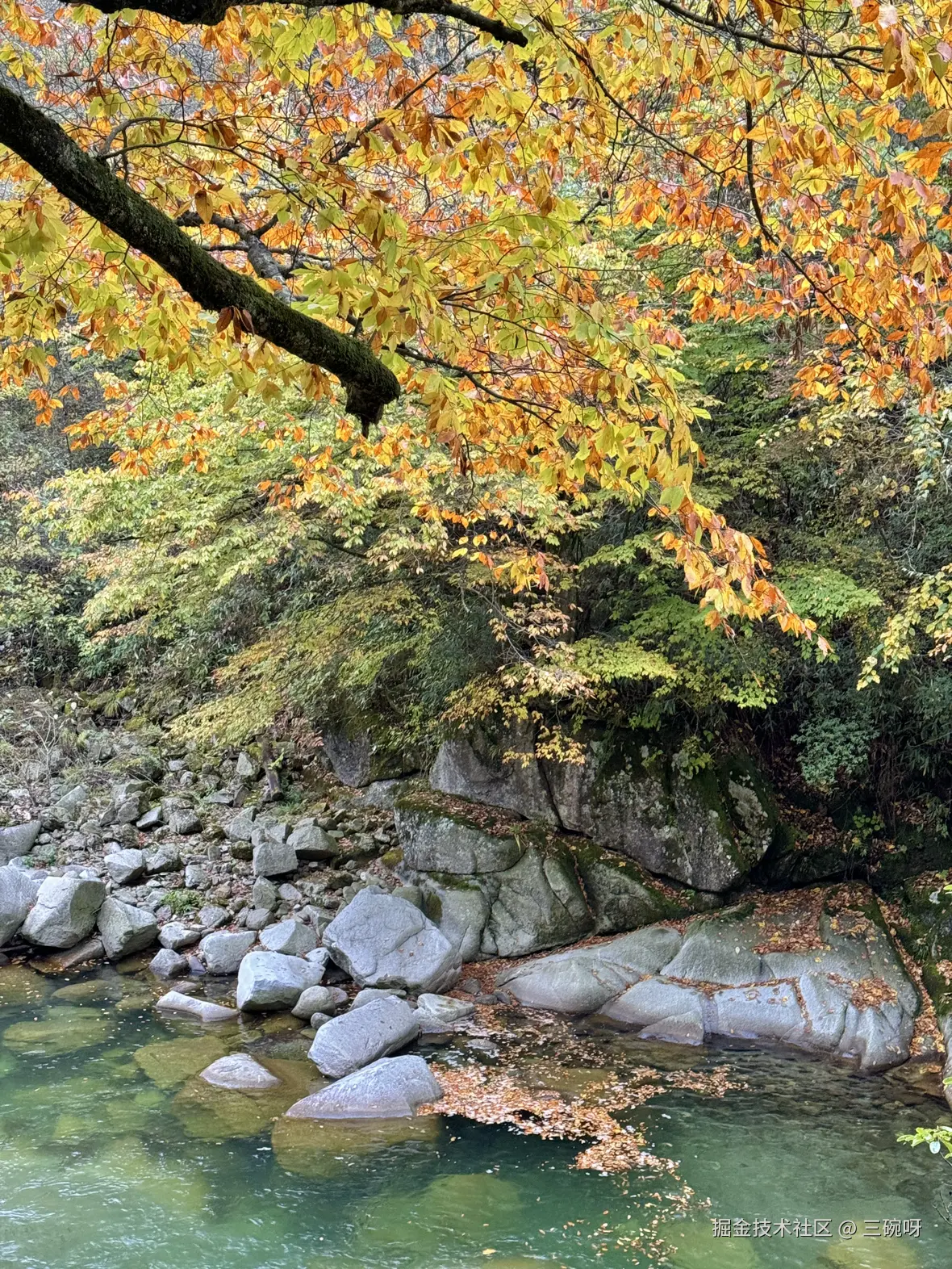 三碗呀于2024-10-28 06:26发布的图片