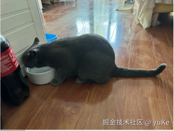 yuKe于2024-11-05 08:42发布的图片