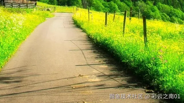 彩云之南01于2025-05-13 15:53发布的图片