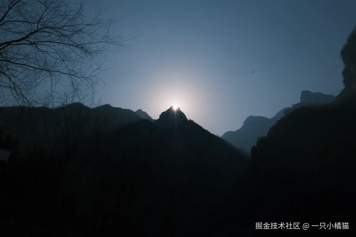 一只小橘猫于2026-02-18 10:04发布的图片