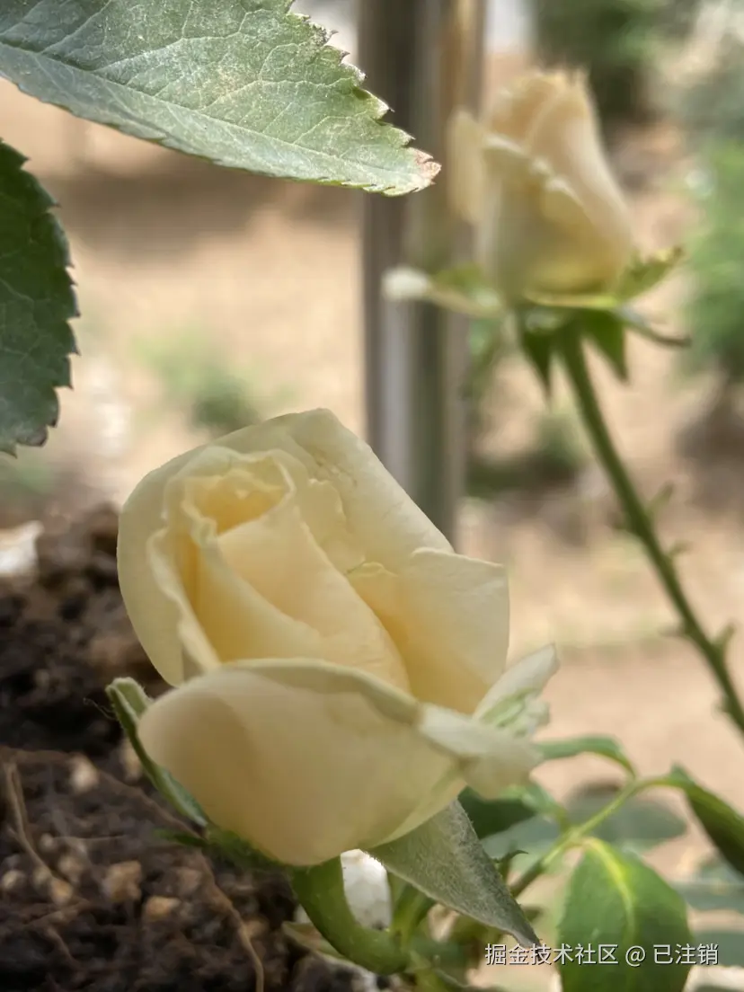 已注销于2025-06-02 11:41发布的图片