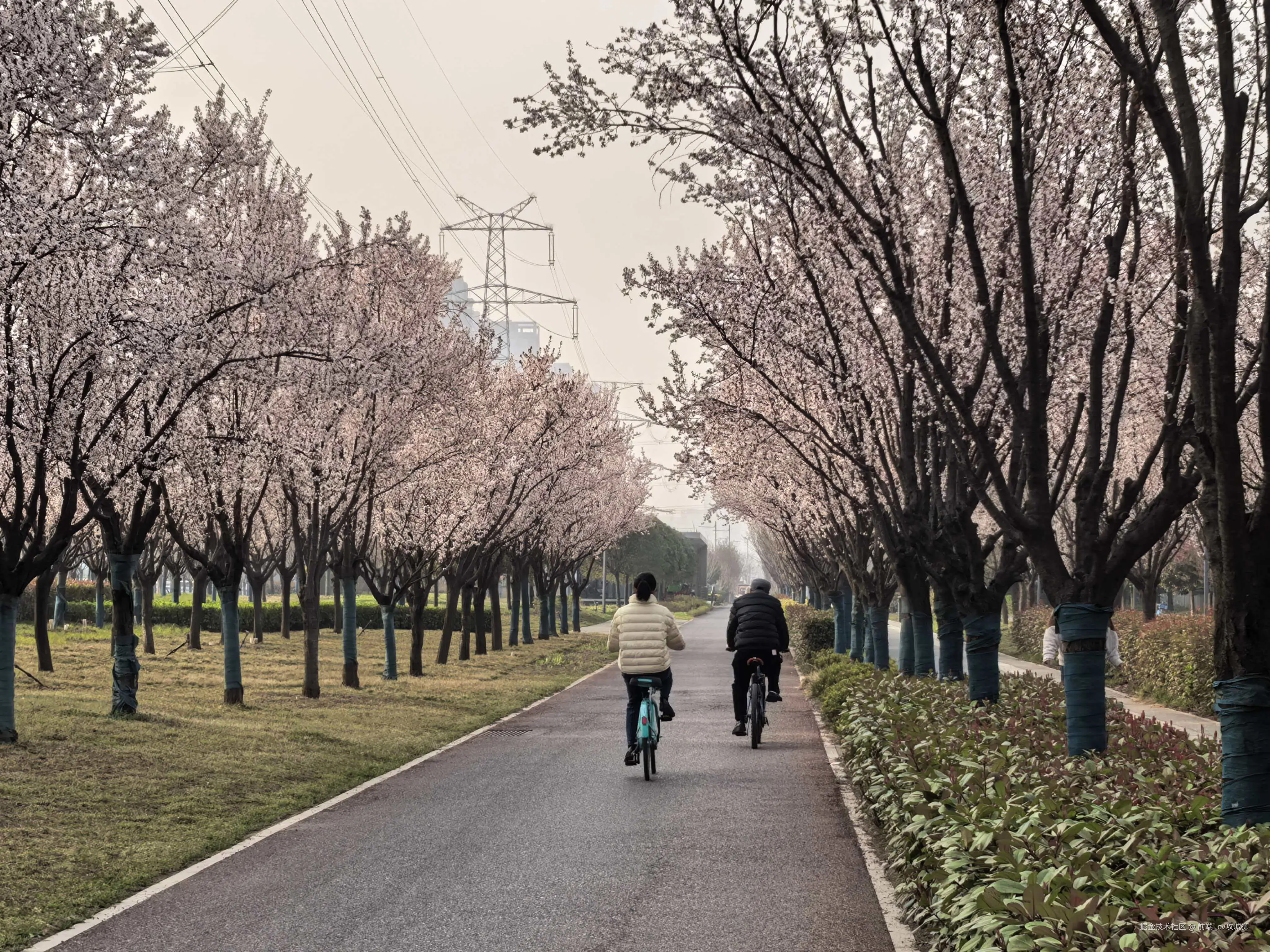 前端_cv攻城狮于2026-03-12 09:49发布的图片