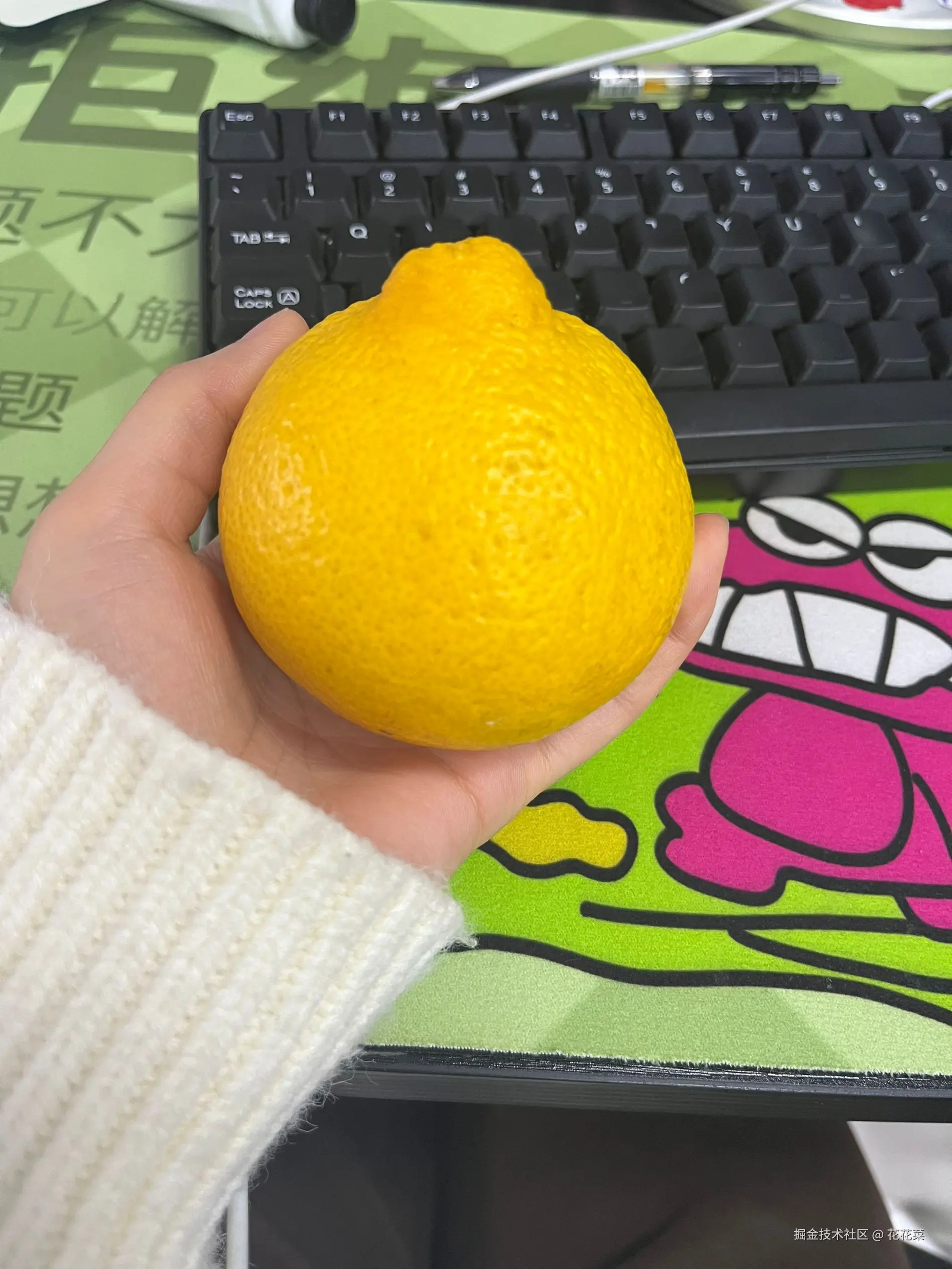 花花菜于2024-12-18 10:55发布的图片