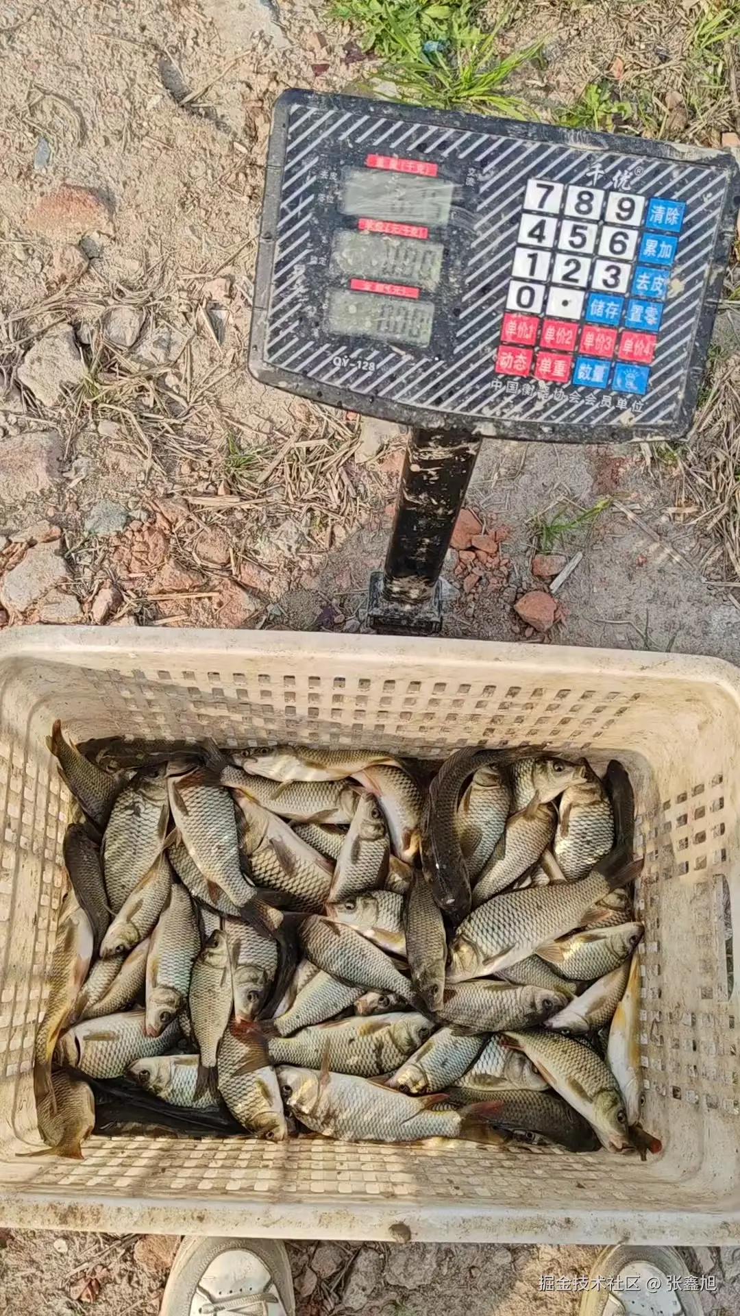 张鑫旭于2025-03-24 09:38发布的图片