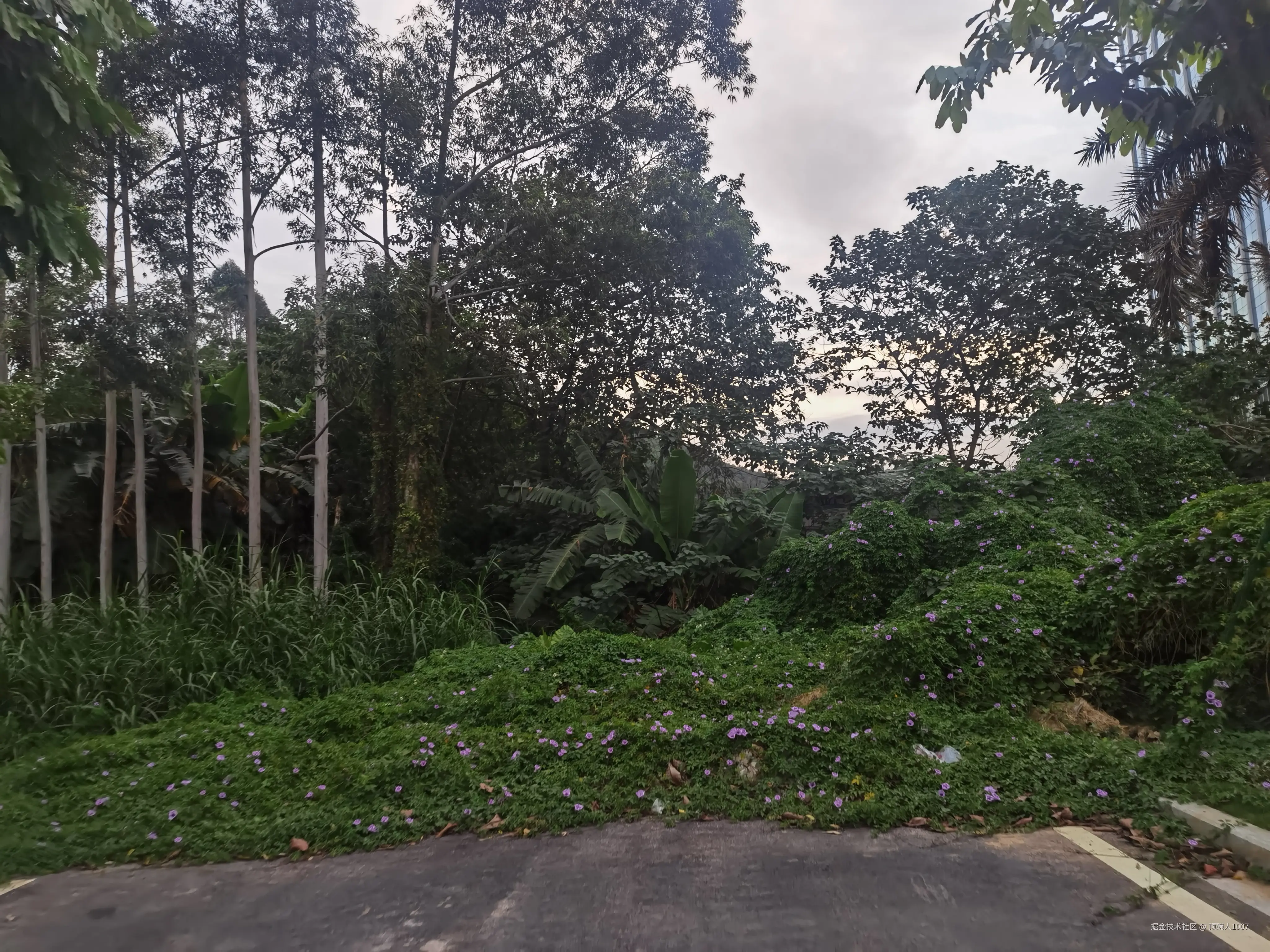 顶碗人1007于2025-11-12 09:47发布的图片