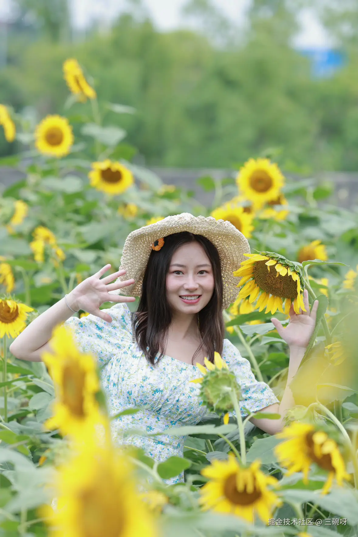 三碗呀于2025-07-09 02:10发布的图片