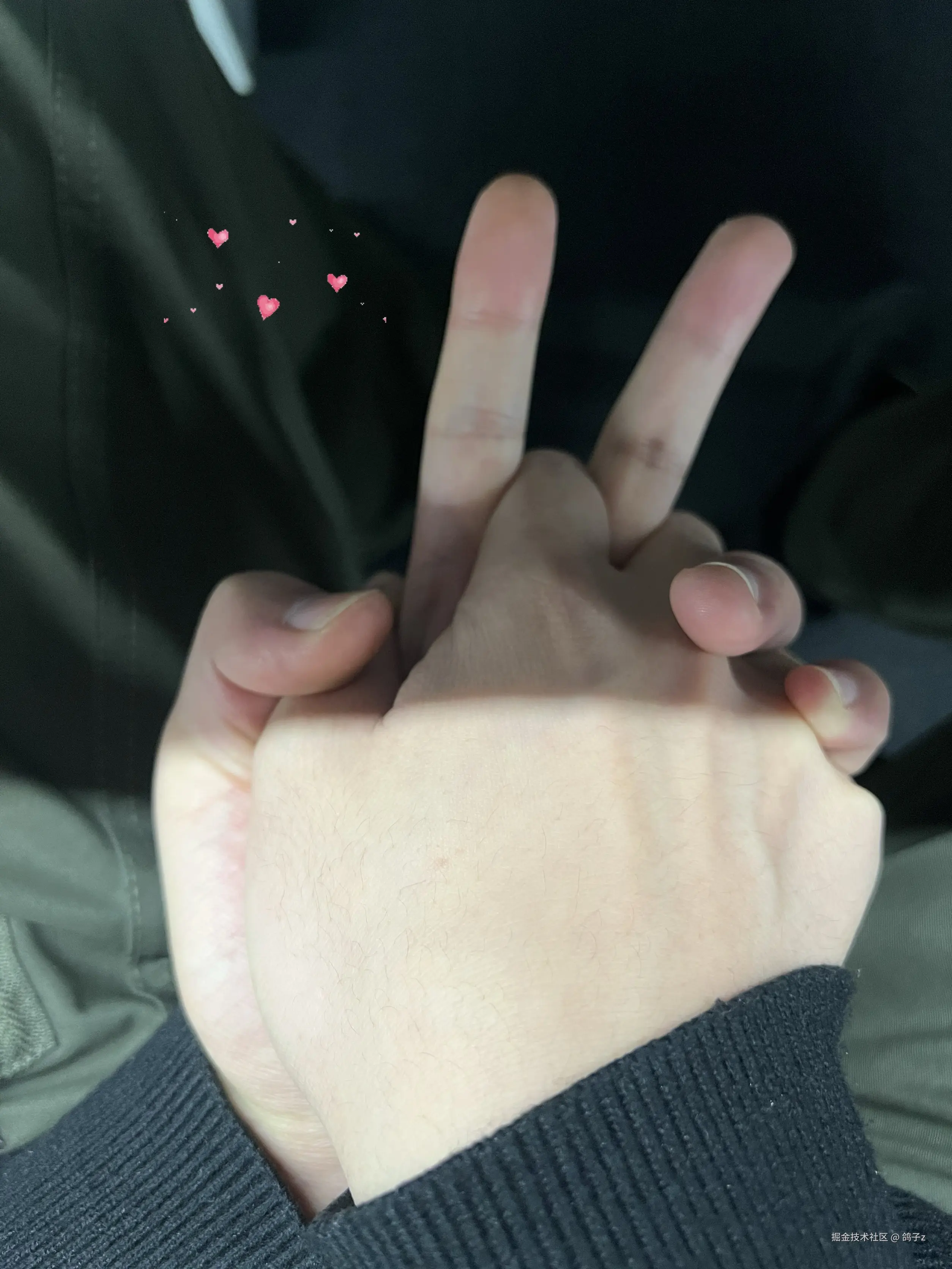 鸽子z于2025-11-14 06:53发布的图片