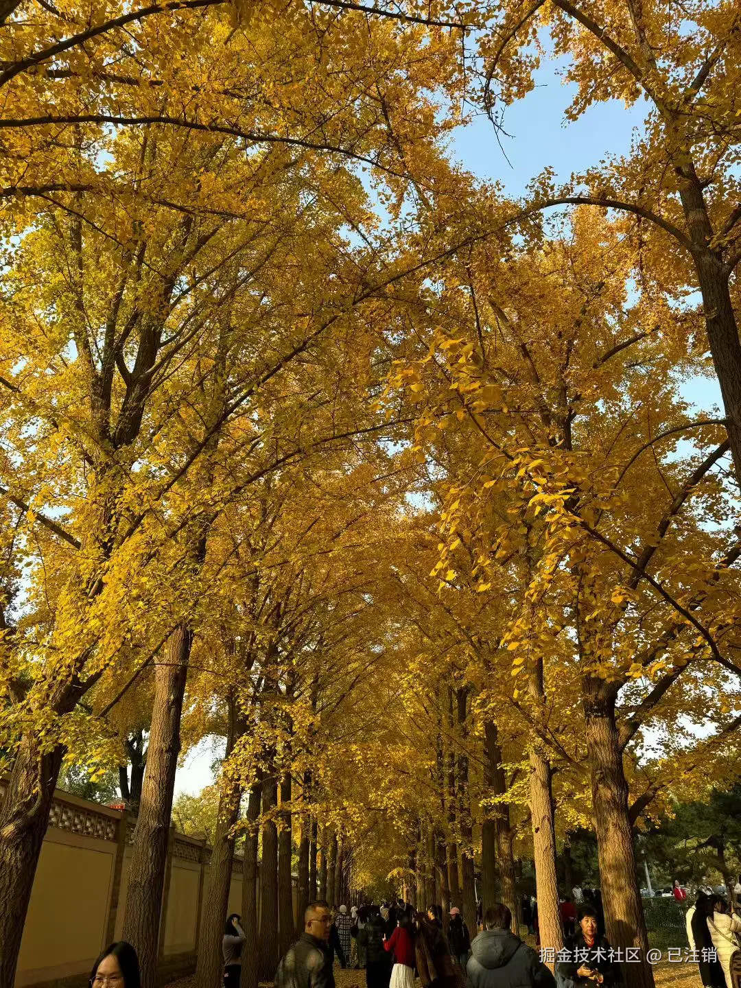 已注销于2025-11-09 10:47发布的图片