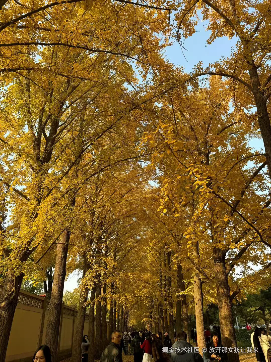 放开那女孩让我来_于2025-11-09 10:47发布的图片