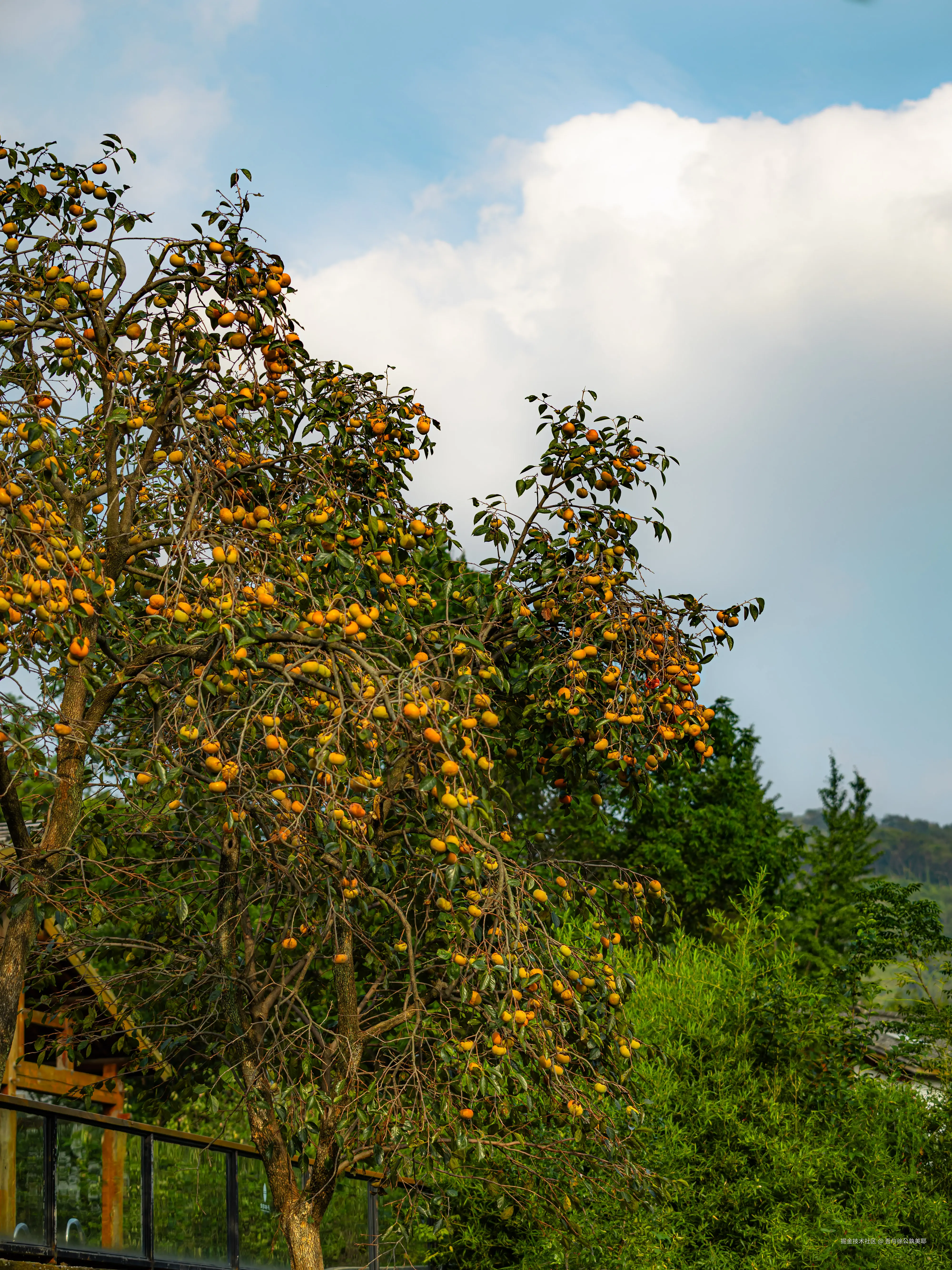 吾与徐公孰美耶于2025-10-24 14:39发布的图片