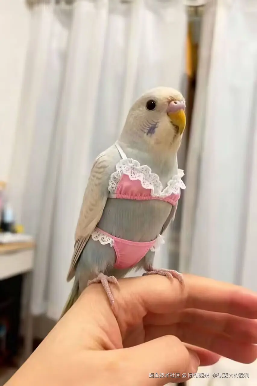 团结起来_争取更大的胜利于2025-12-23 10:56发布的图片