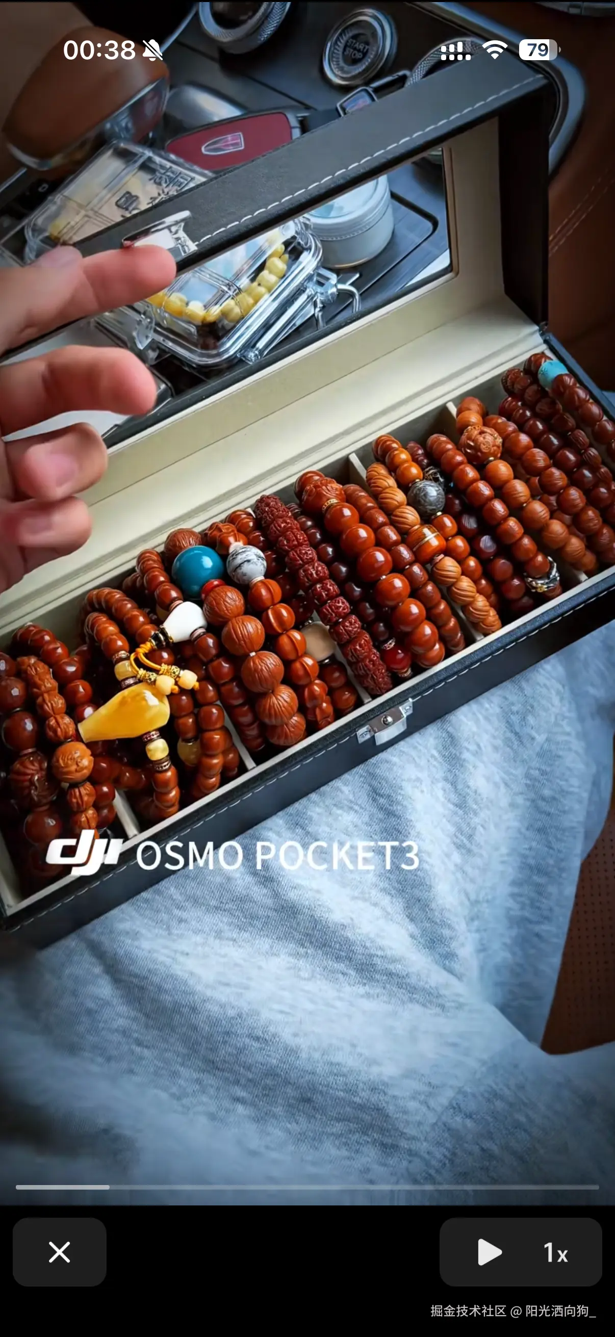 阳光洒向狗_于2025-11-12 10:12发布的图片