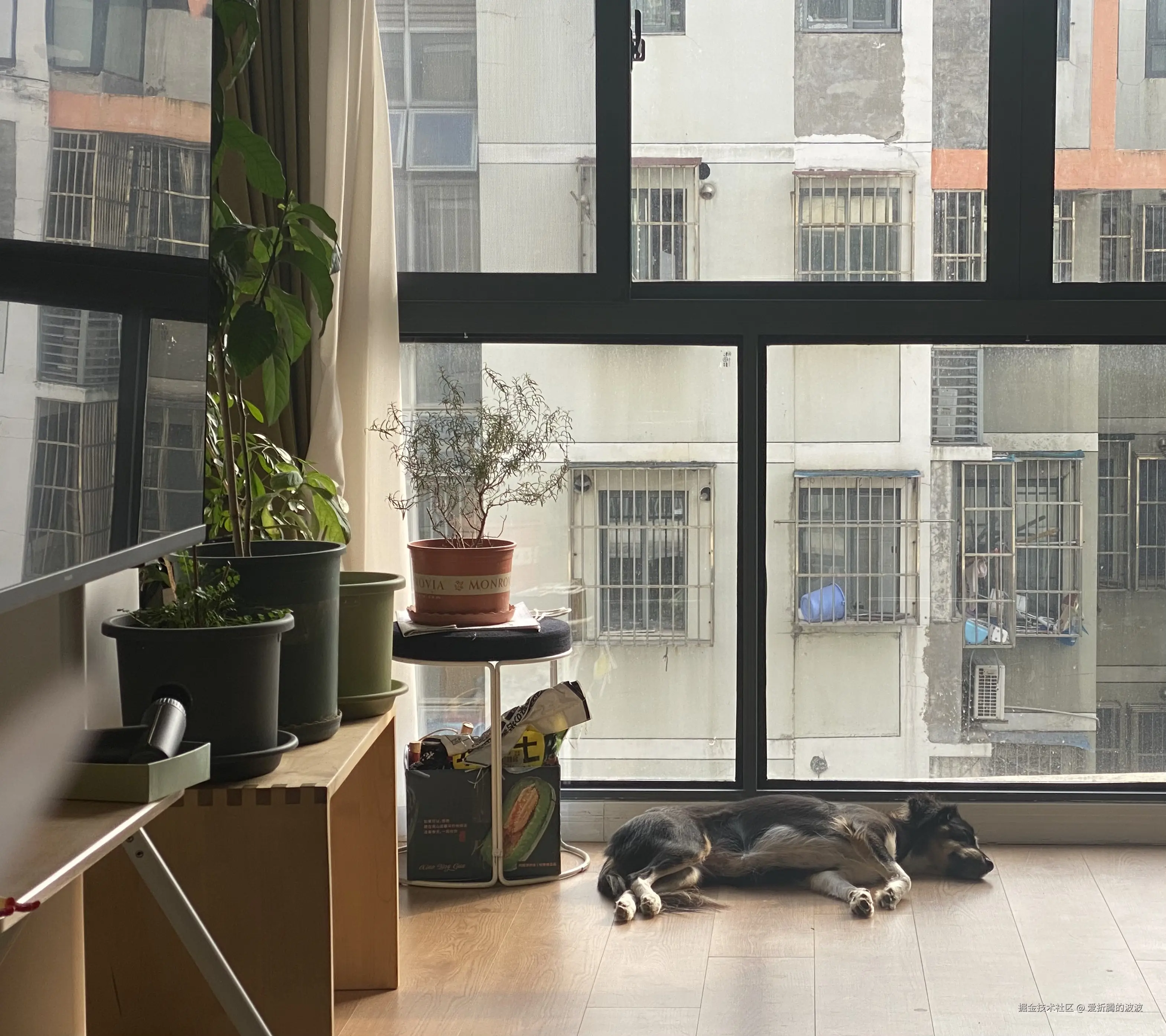 爱折腾的波波于2025-03-01 09:22发布的图片