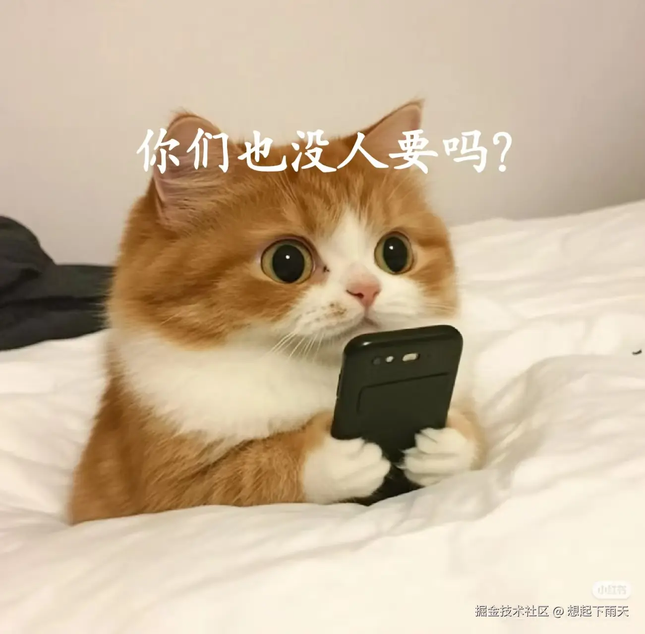 想起下雨天于2025-09-23 16:59发布的图片