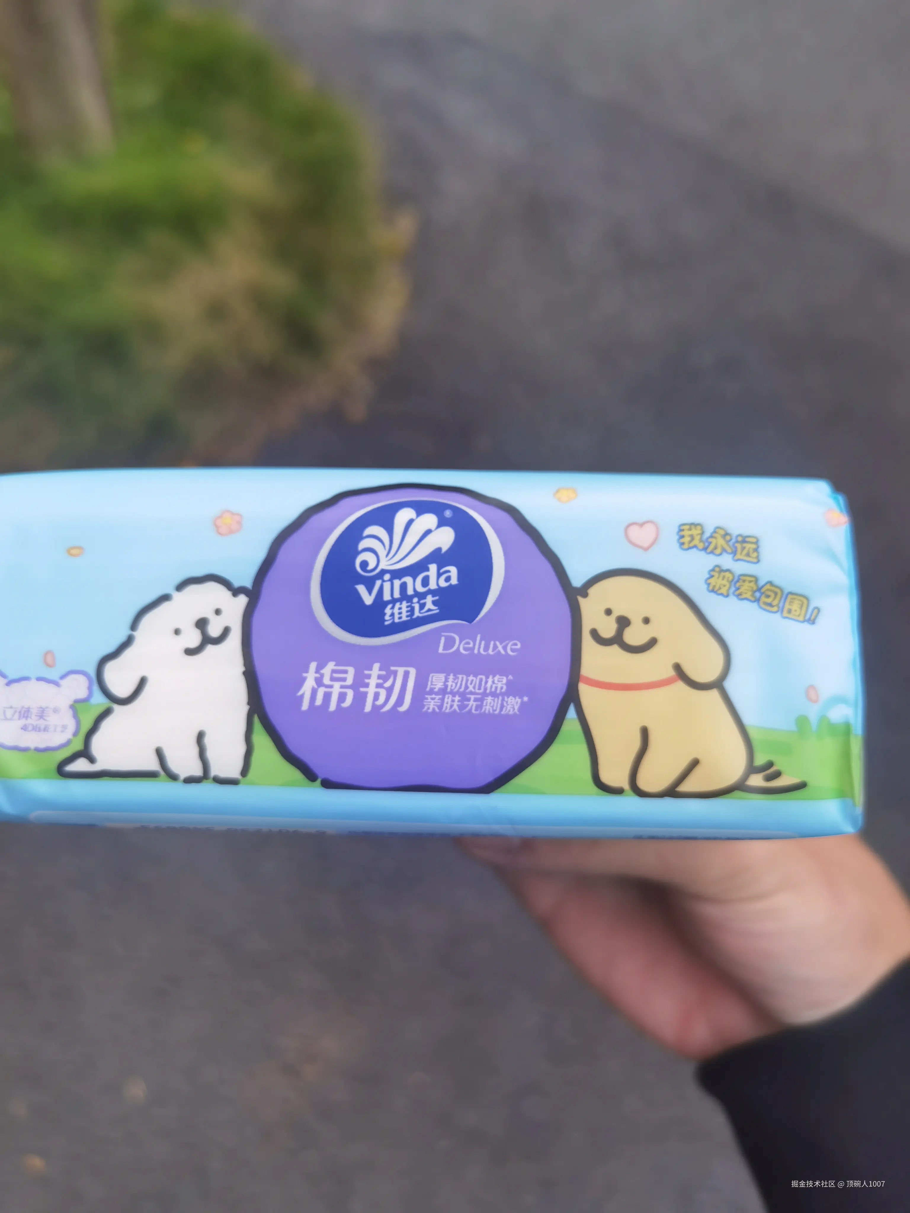 顶碗人1007于2025-11-20 10:13发布的图片