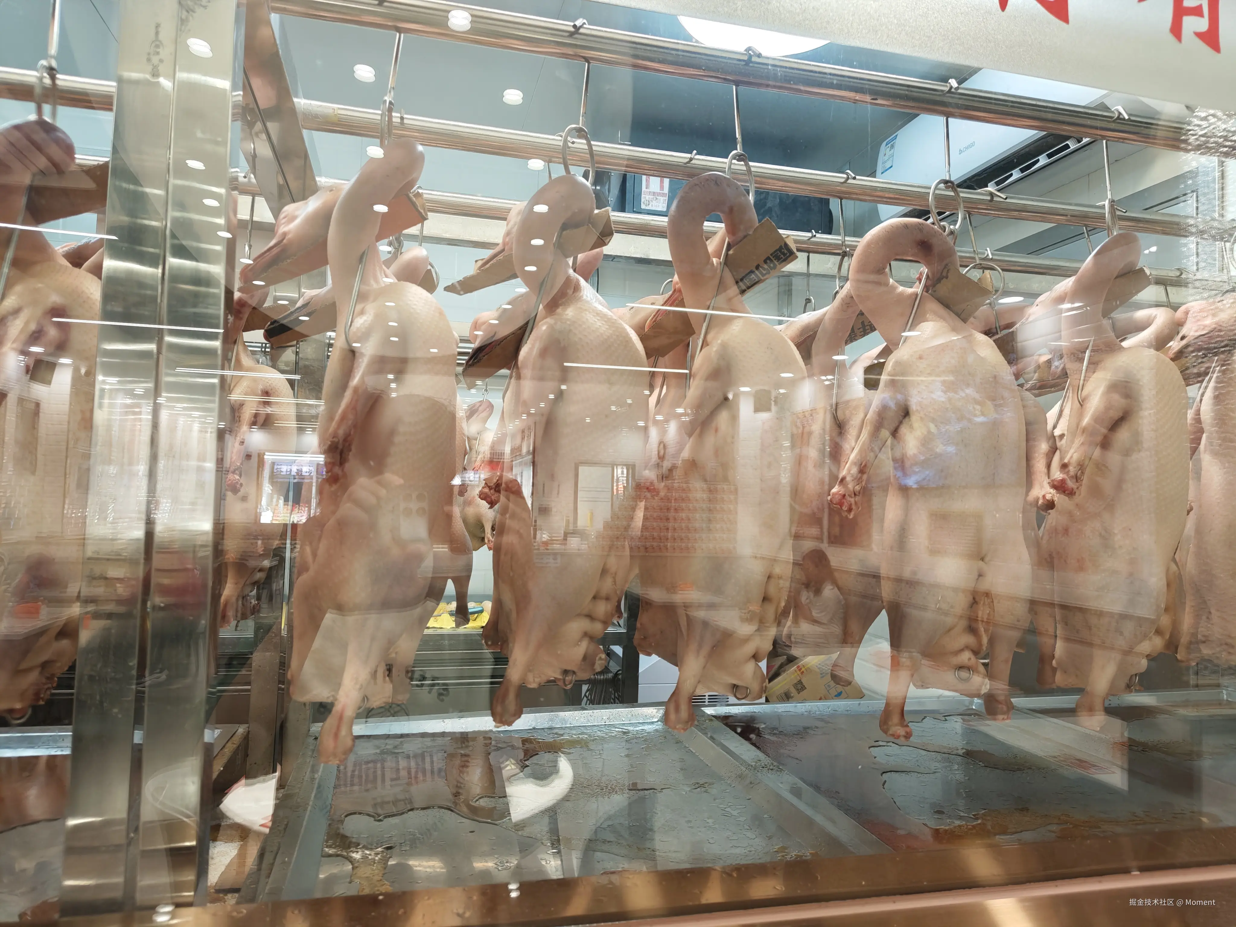 Moment于2026-03-16 11:14发布的图片