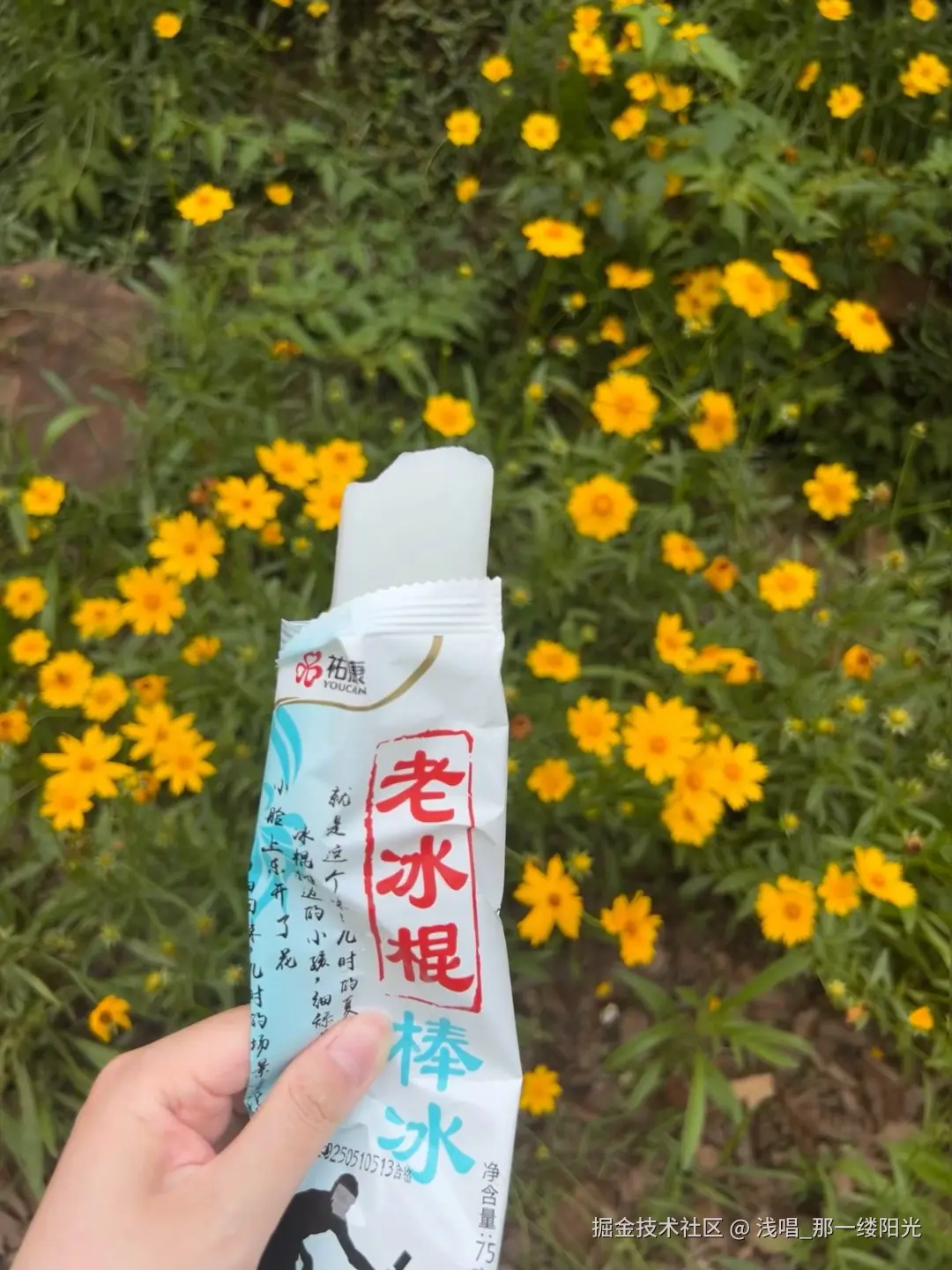 浅唱_那一缕阳光于2025-06-16 11:04发布的图片