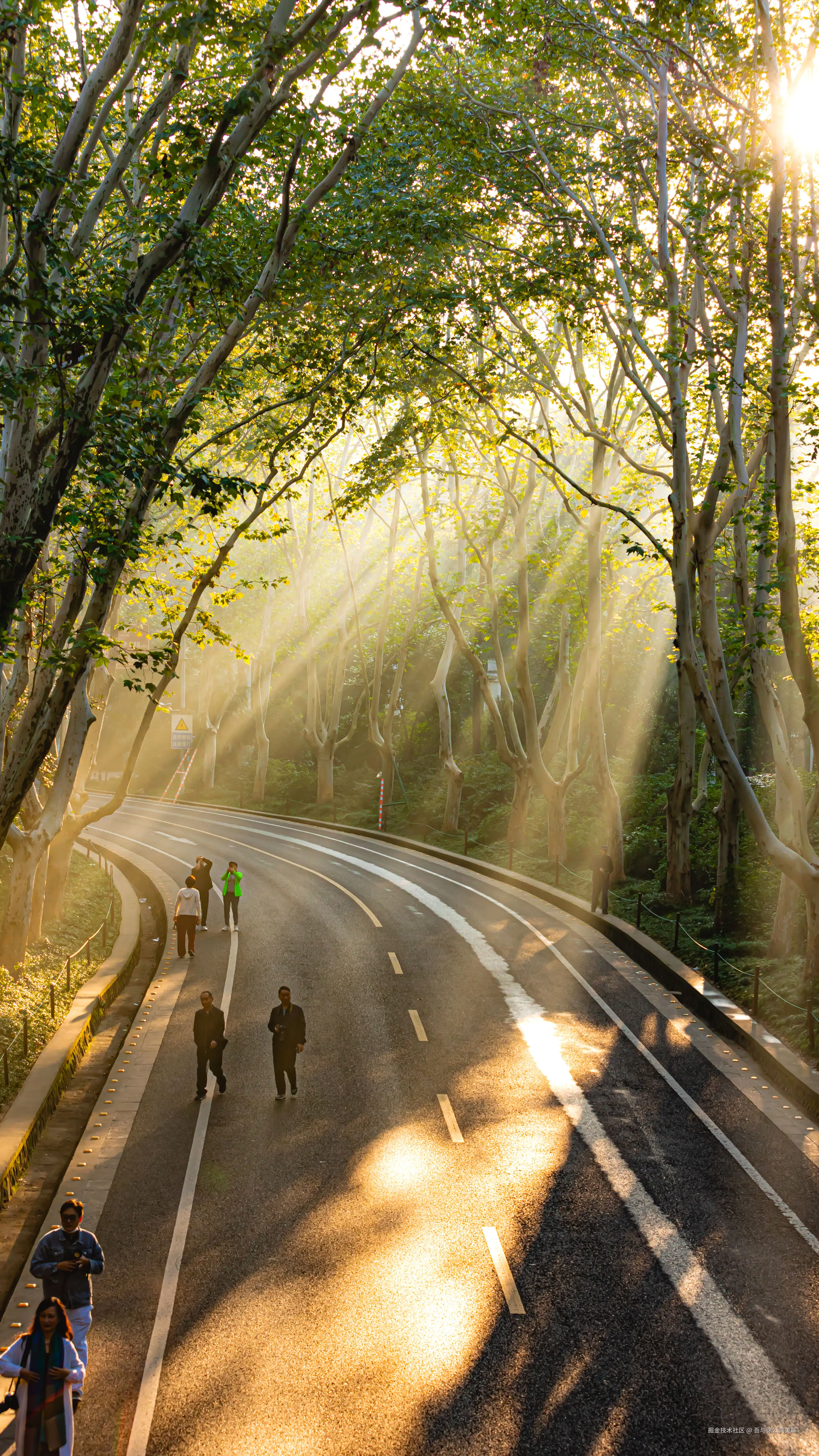 吾与徐公孰美耶于2024-11-05 10:05发布的图片