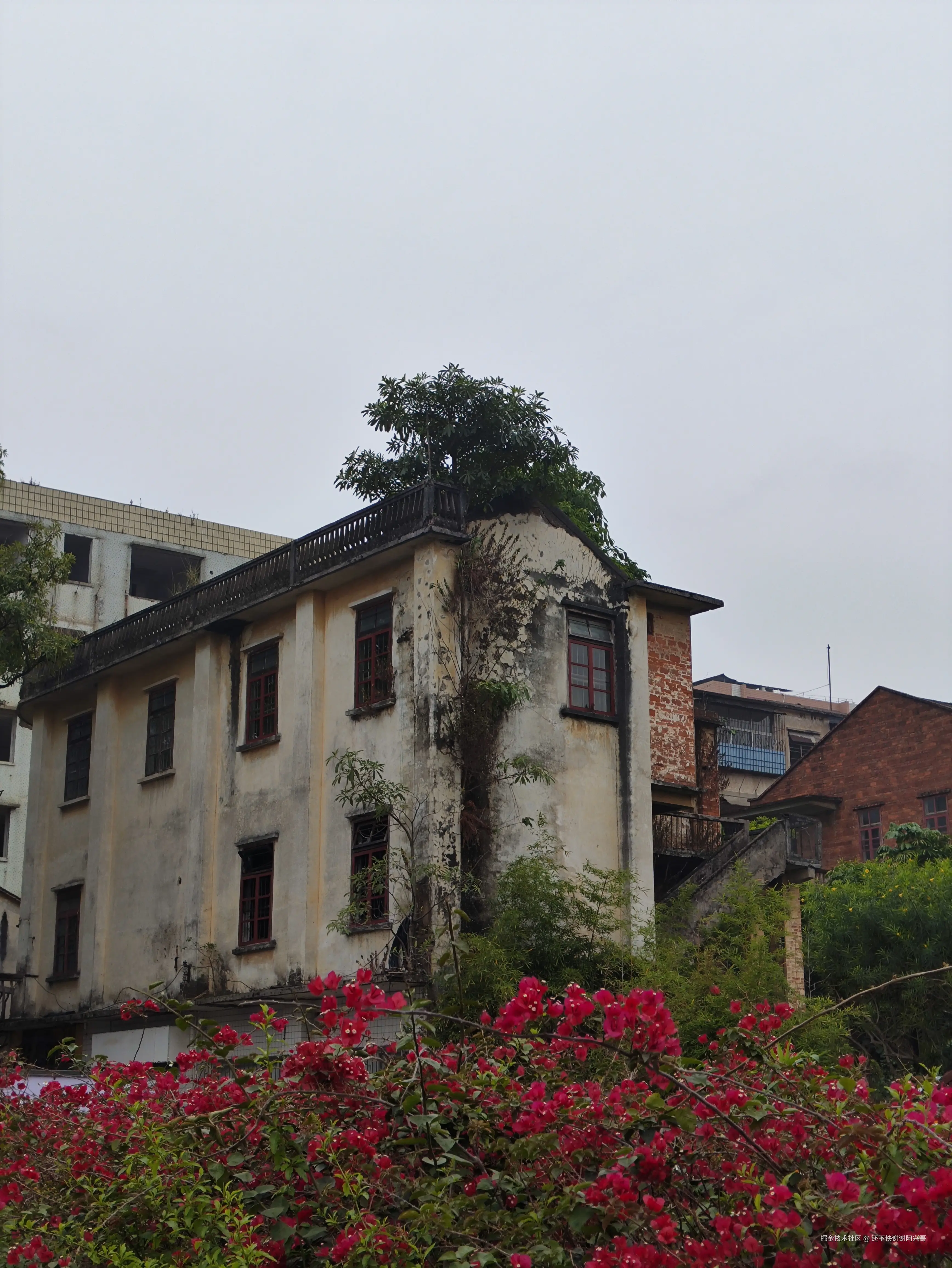 还不快谢谢阿兴哥于2025-04-07 11:14发布的图片