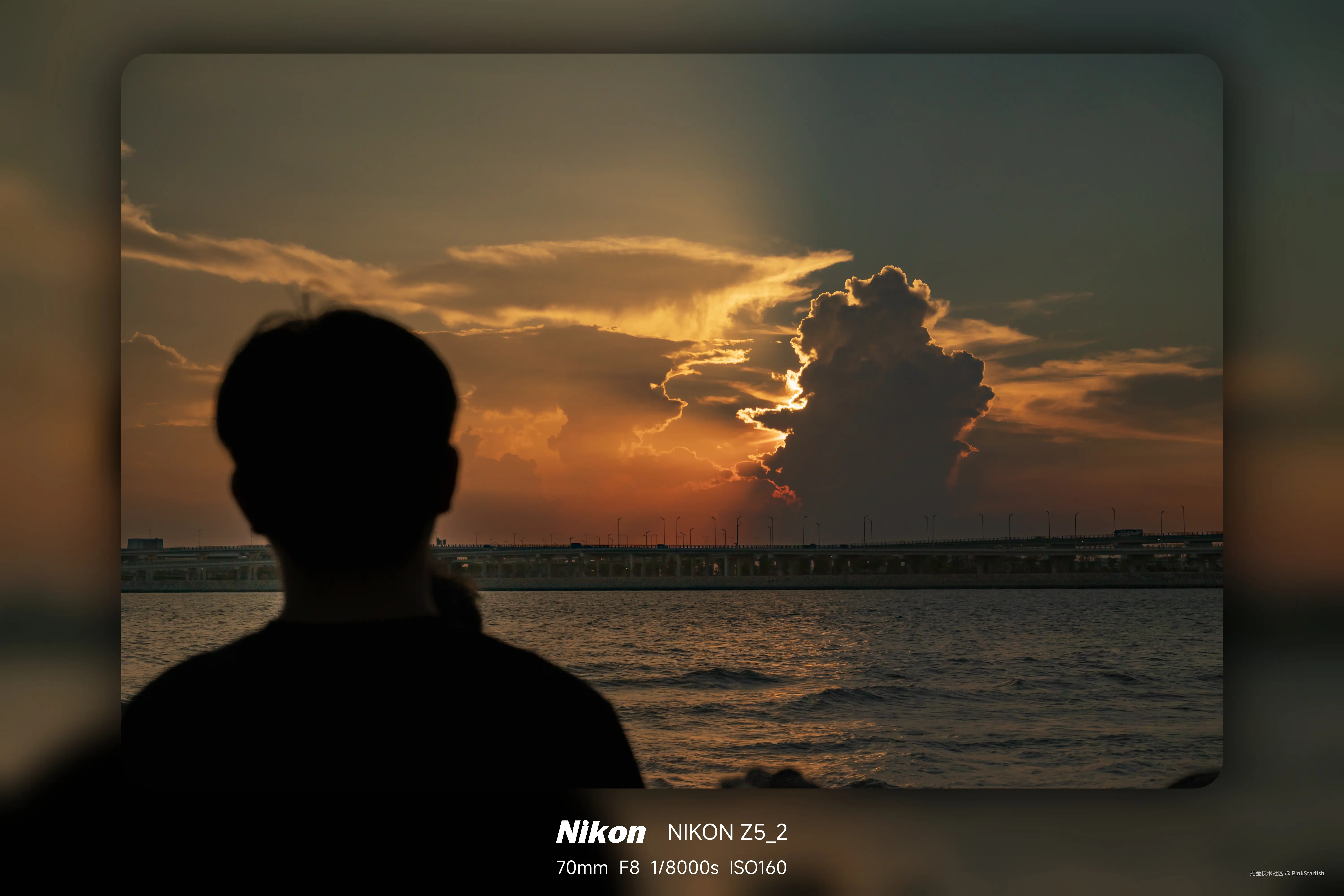 PinkStarfish于2025-06-10 02:49发布的图片