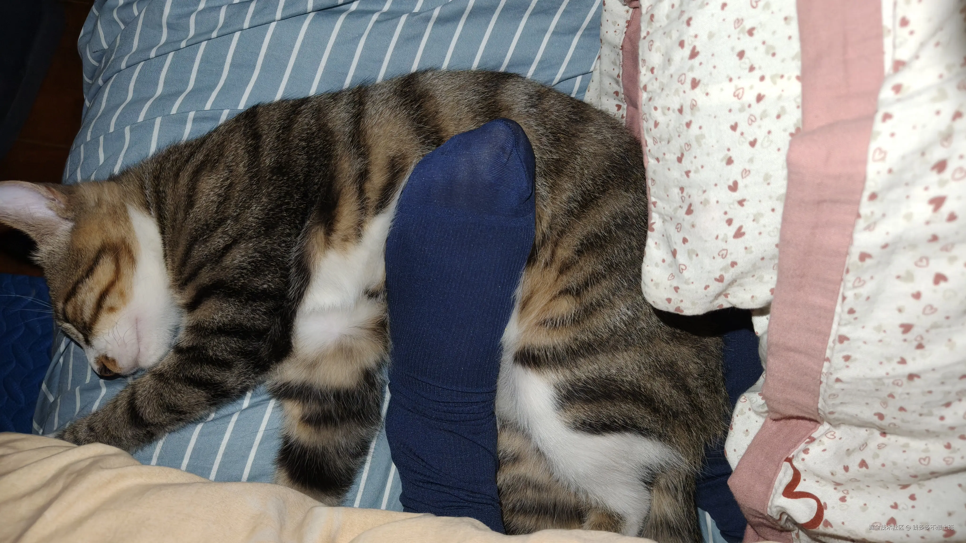 钱多多不想上班于2025-10-20 10:26发布的图片