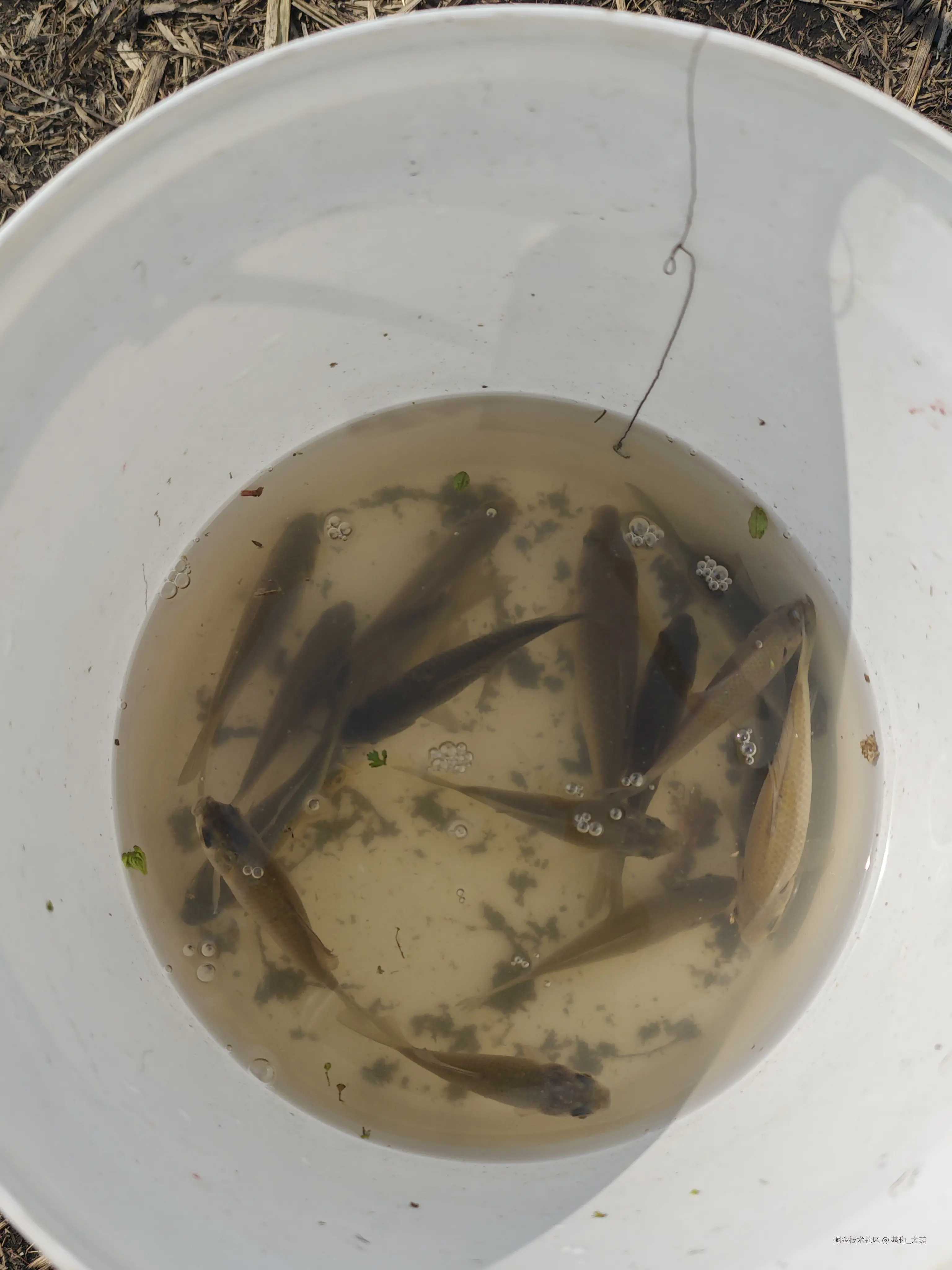 基你_太美于2026-02-14 13:35发布的图片