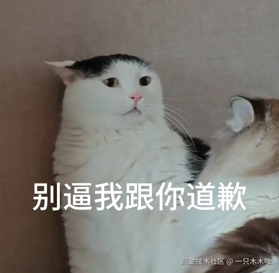 一只木木哇于2026-08-17 13:43发布的图片