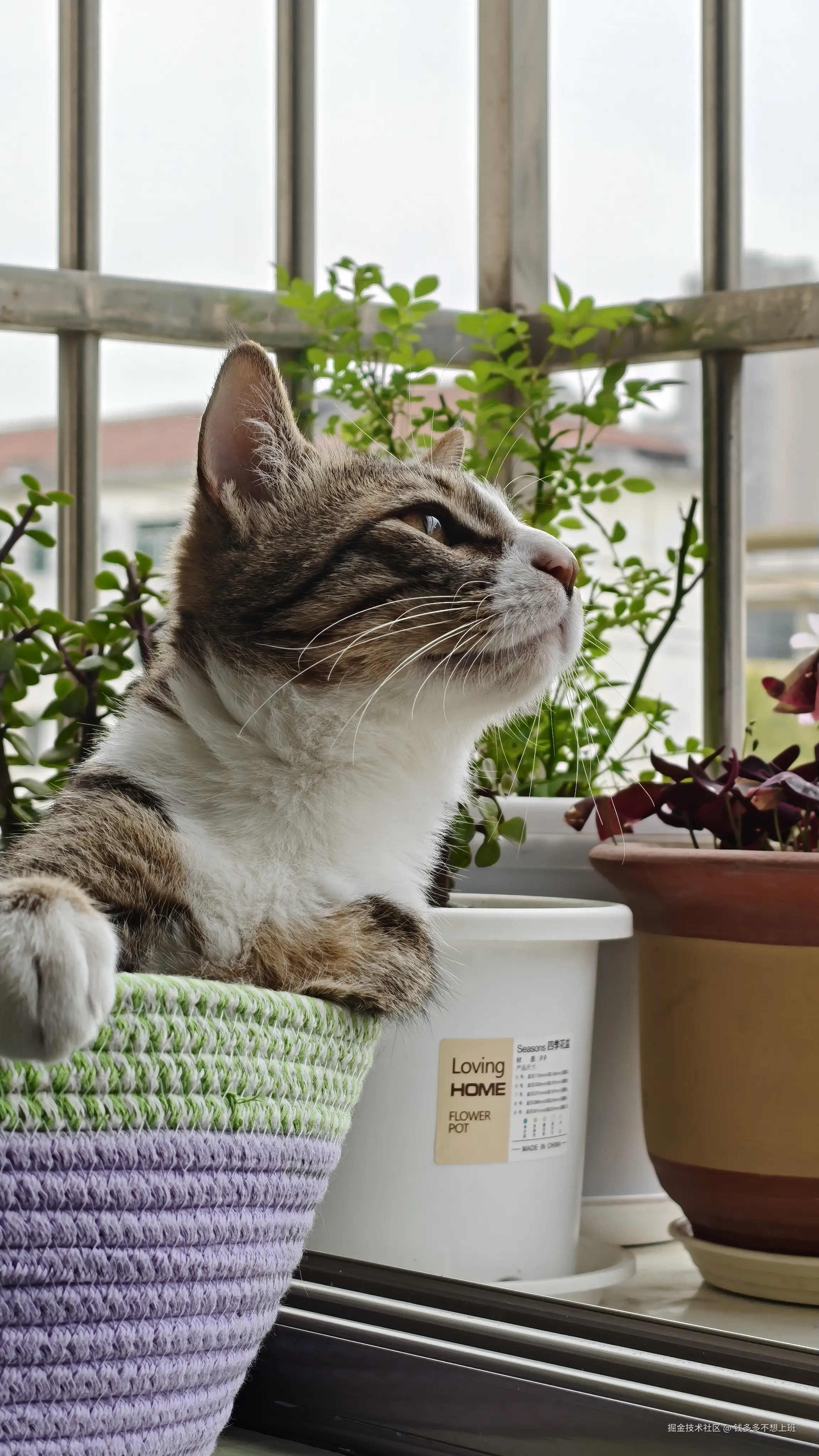 钱多多不想上班于2026-04-07 10:47发布的图片