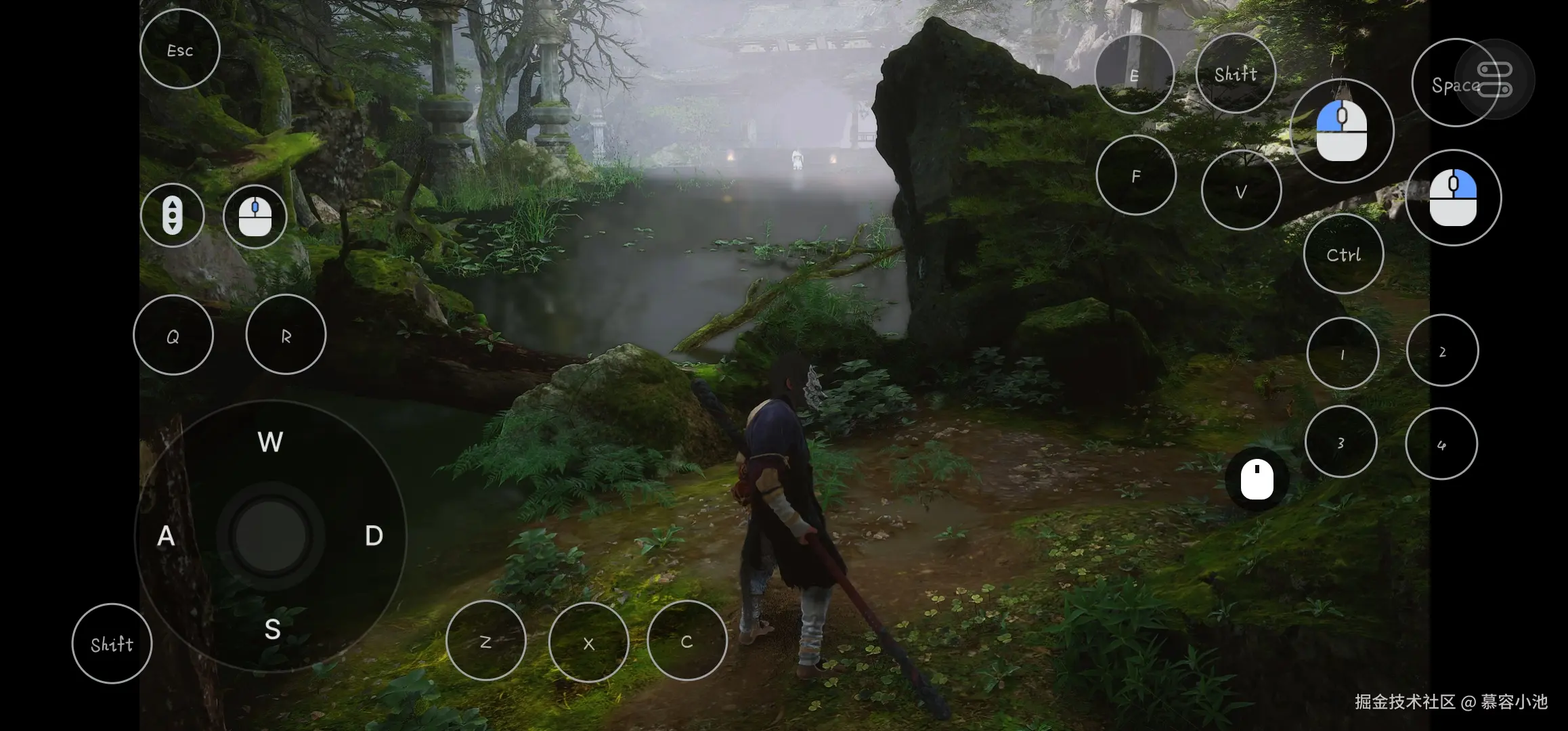 慕容小池于2024-08-22 10:49发布的图片