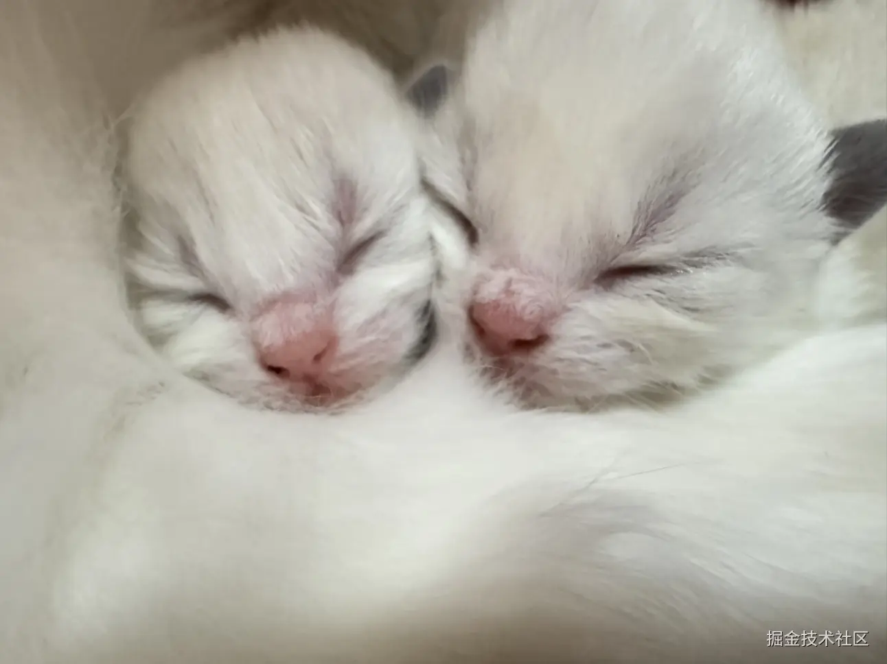 已注销于2025-04-07 08:52发布的图片