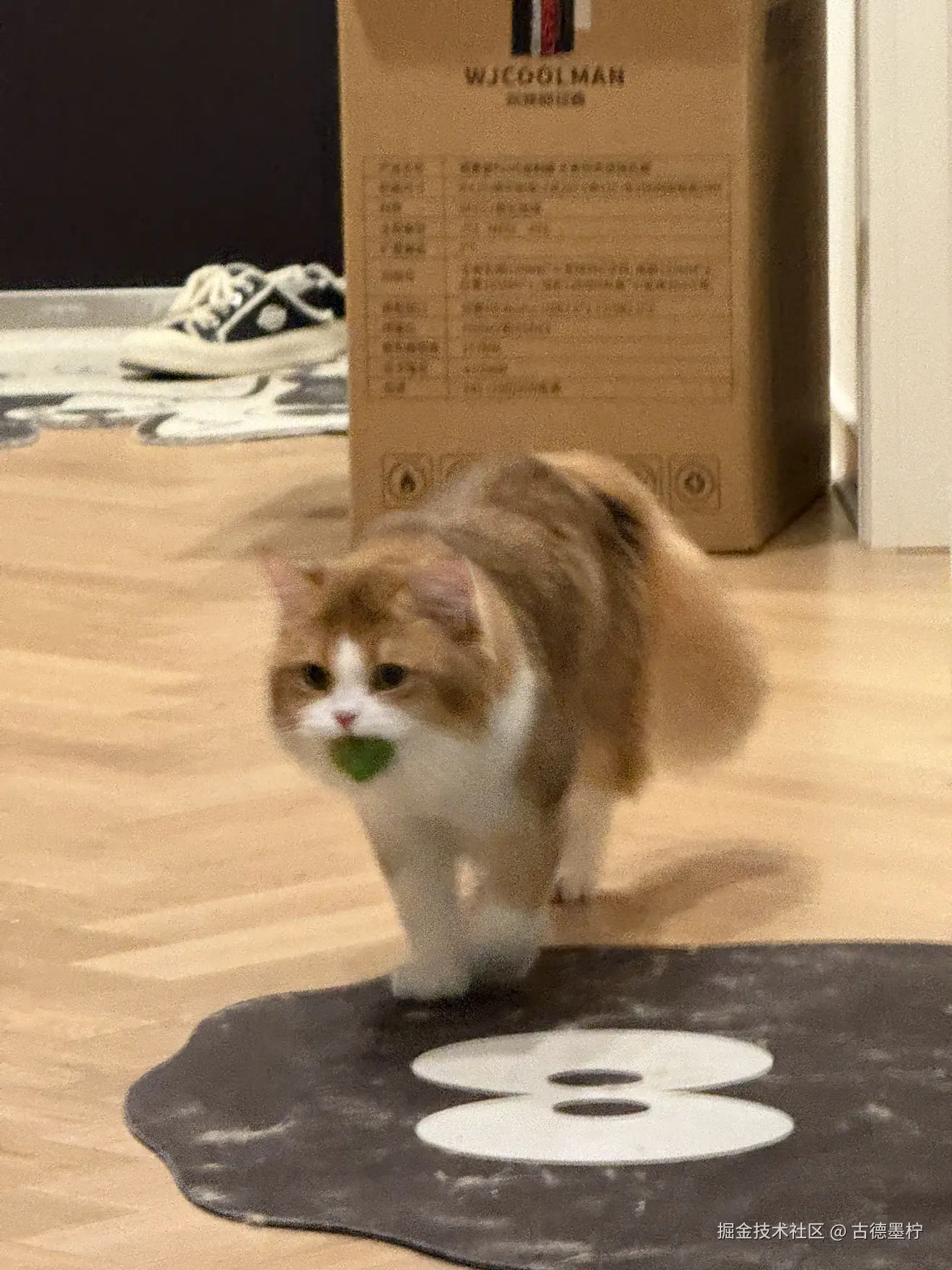 古德墨柠于2026-02-12 16:24发布的图片