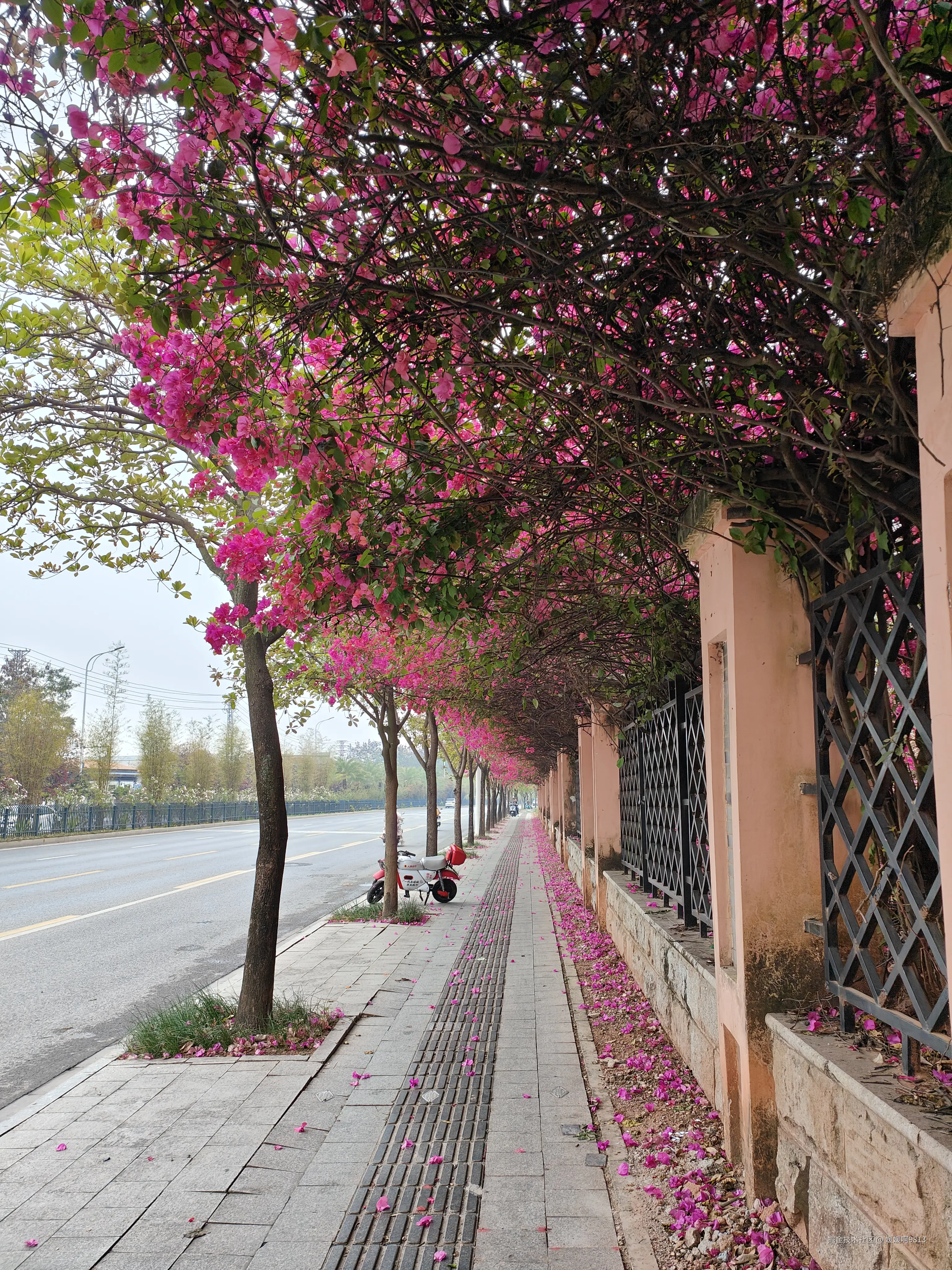 媛媛啊9813于2026-03-28 23:19发布的图片