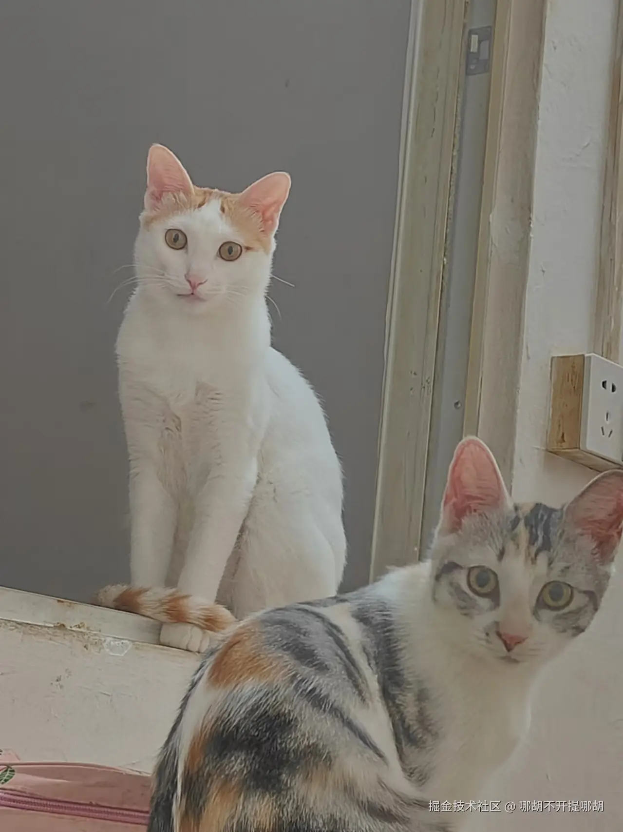 哪胡不开提哪胡于2024-10-25 13:48发布的图片