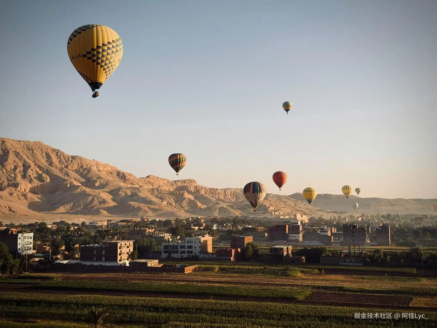 阿怪Lyc_于2026-03-19 10:05发布的图片