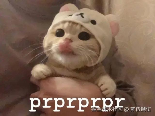 贰伍捌伍于2025-02-17 10:51发布的图片