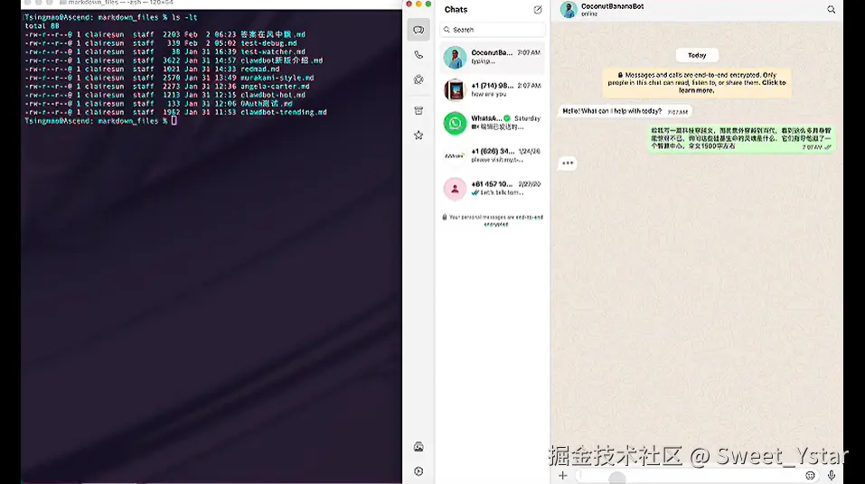 Sweet_Ystar于2026-02-04 15:06发布的图片