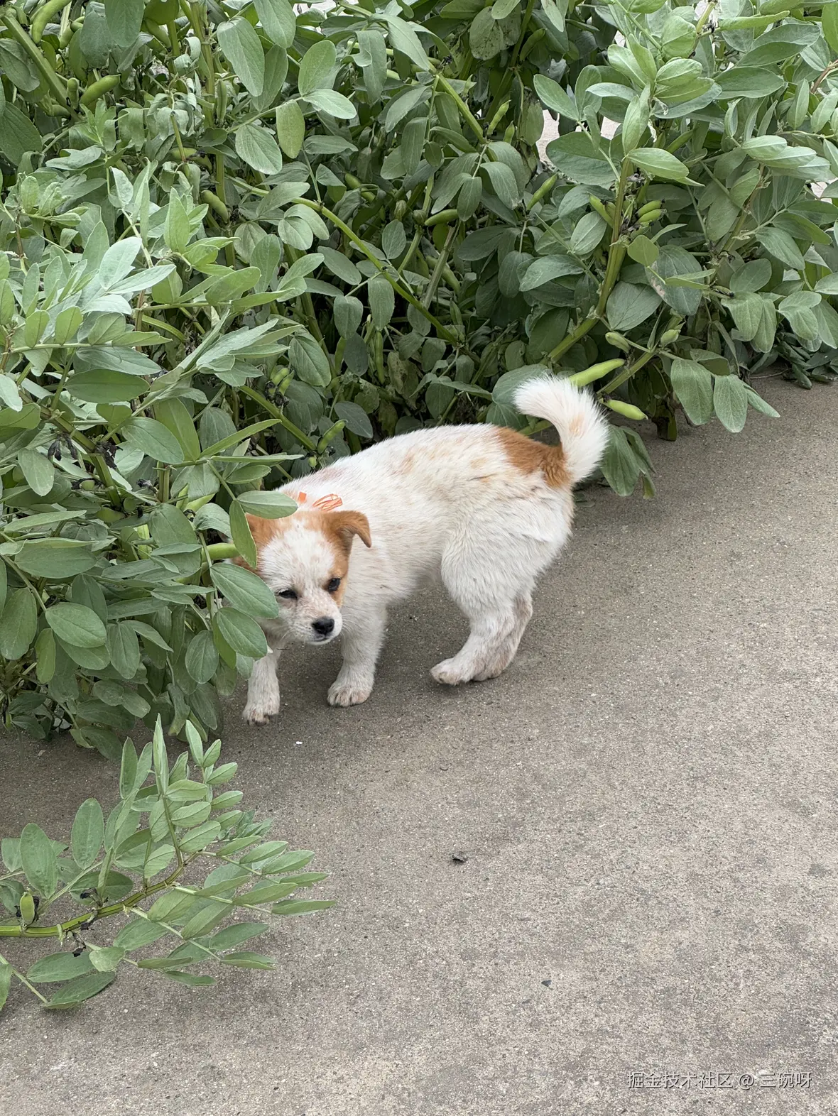 三碗呀于2025-04-09 11:21发布的图片