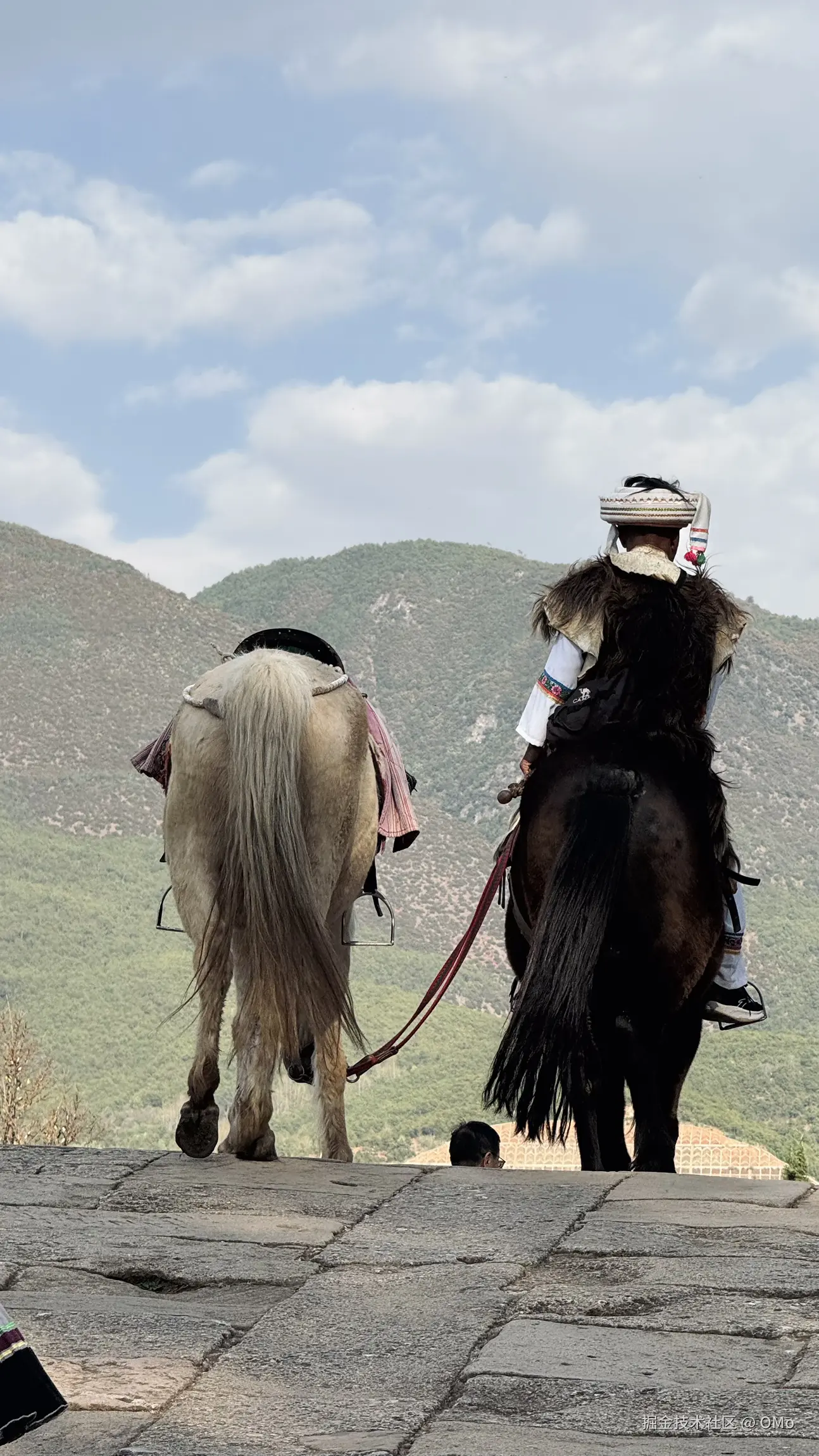 OMo于2026-04-16 11:42发布的图片