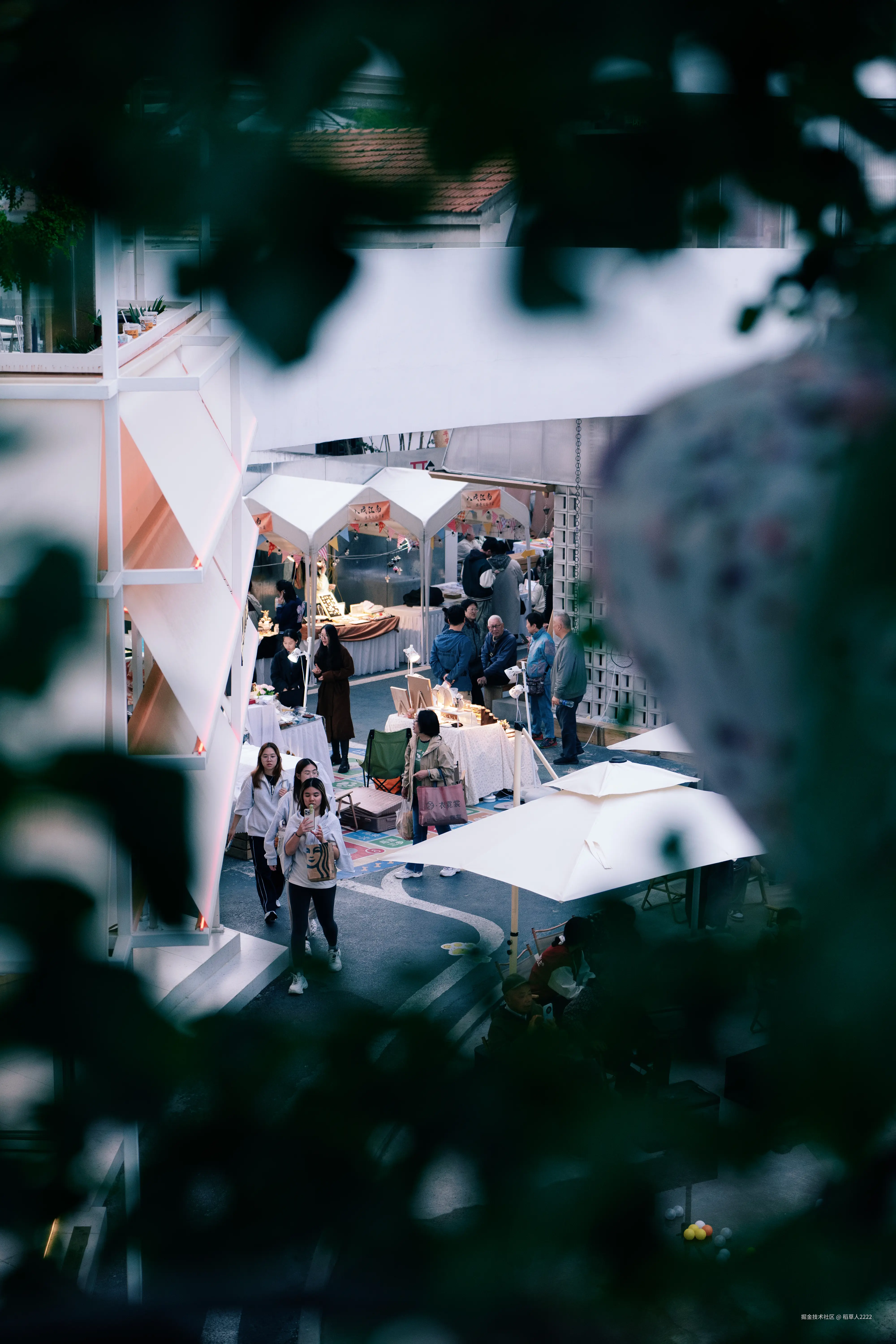 稻草人2222于2025-11-12 14:09发布的图片