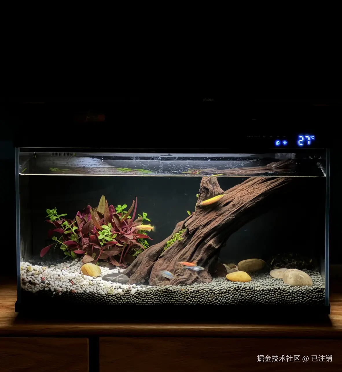 已注销于2025-06-13 09:20发布的图片