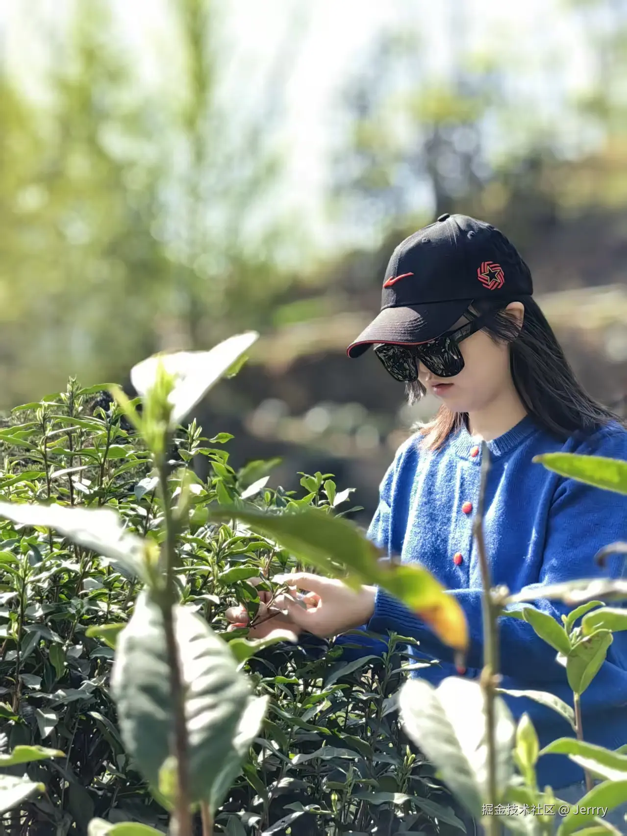 Jerrry于2026-04-09 02:58发布的图片