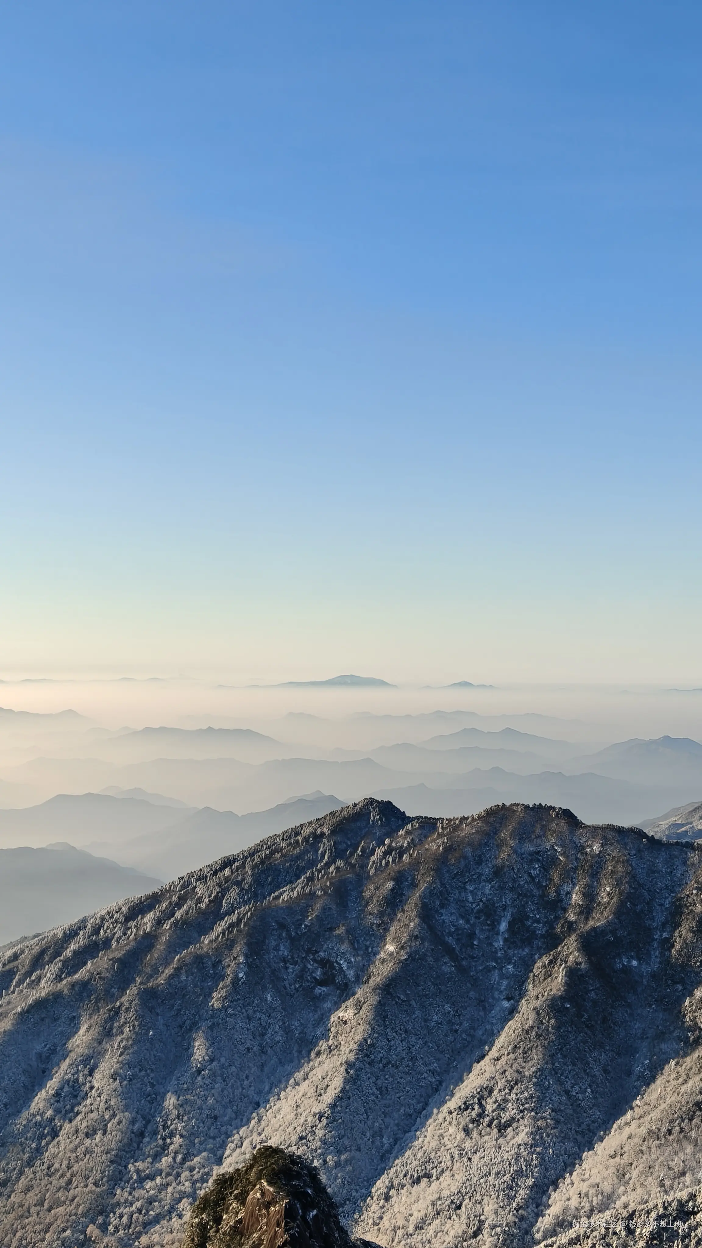 钱多多不想上班于2026-01-05 08:00发布的图片