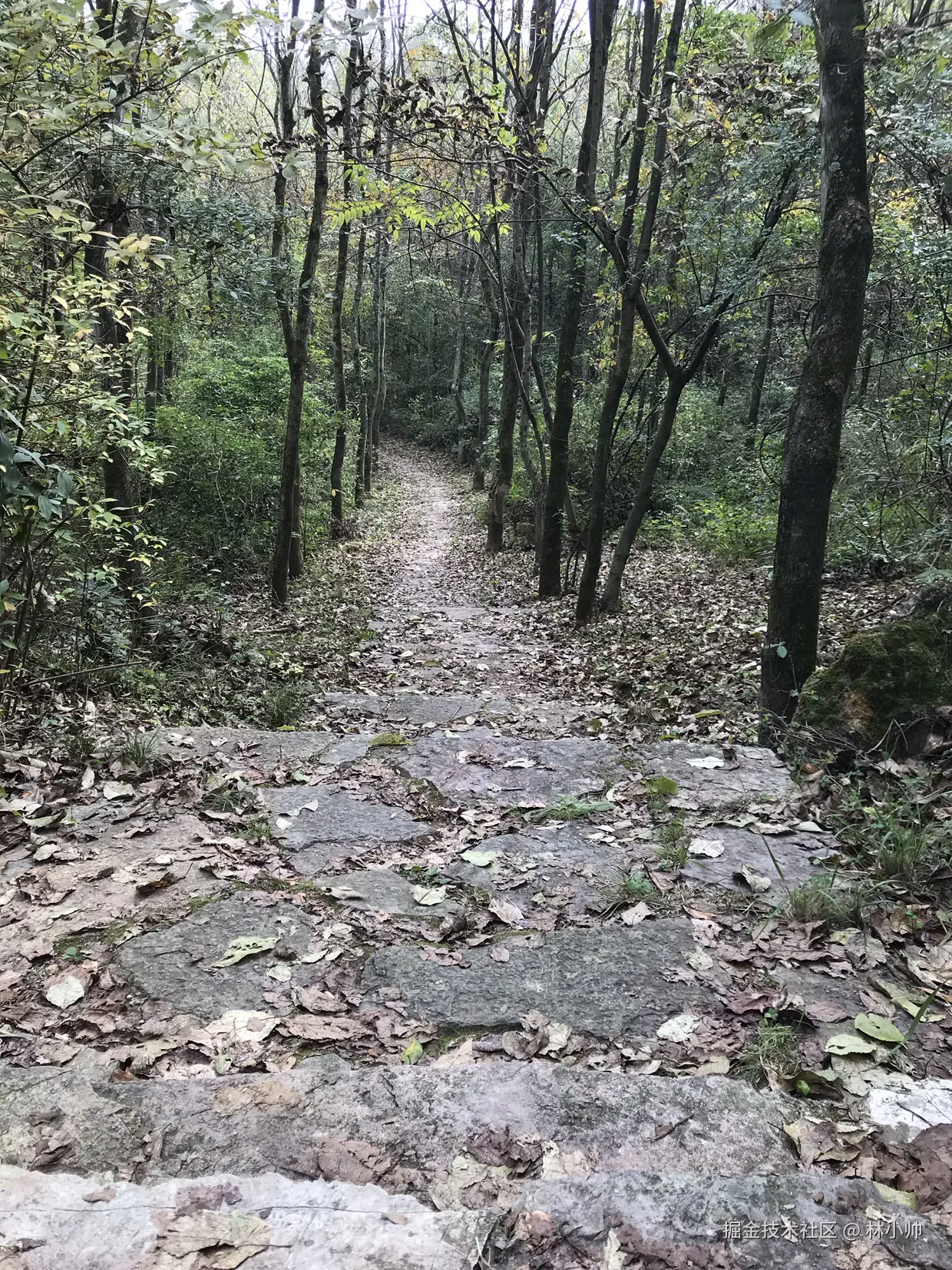 林小帅于2024-10-28 15:38发布的图片