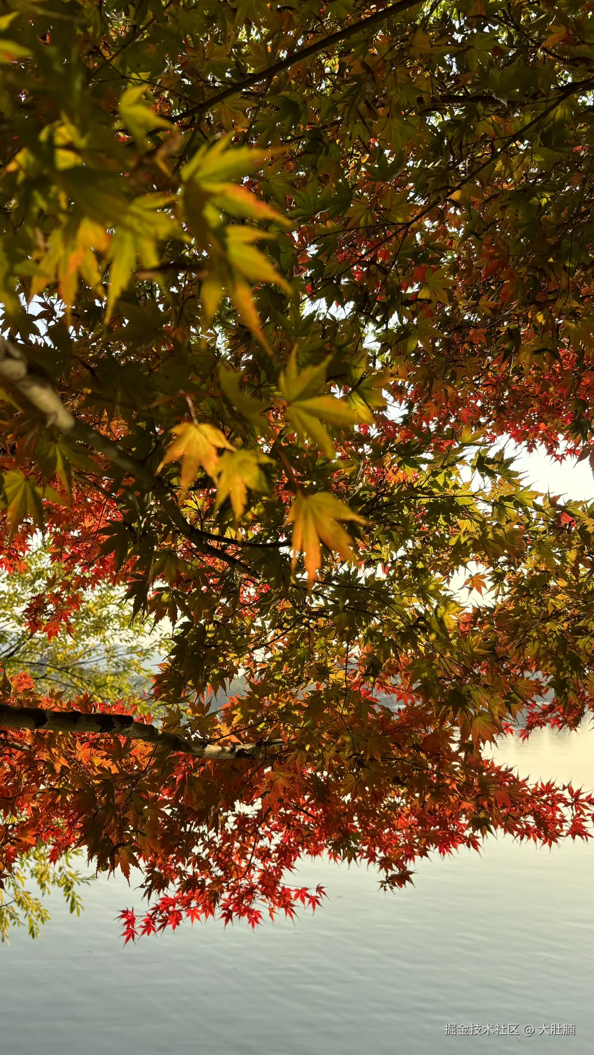 大肚腩于2025-12-08 09:23发布的图片